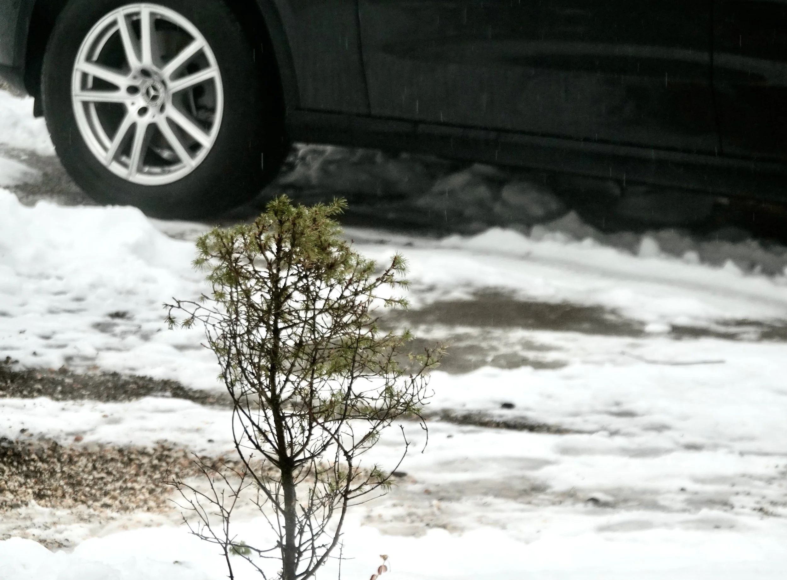  . . . but it was a mess getting to them. 