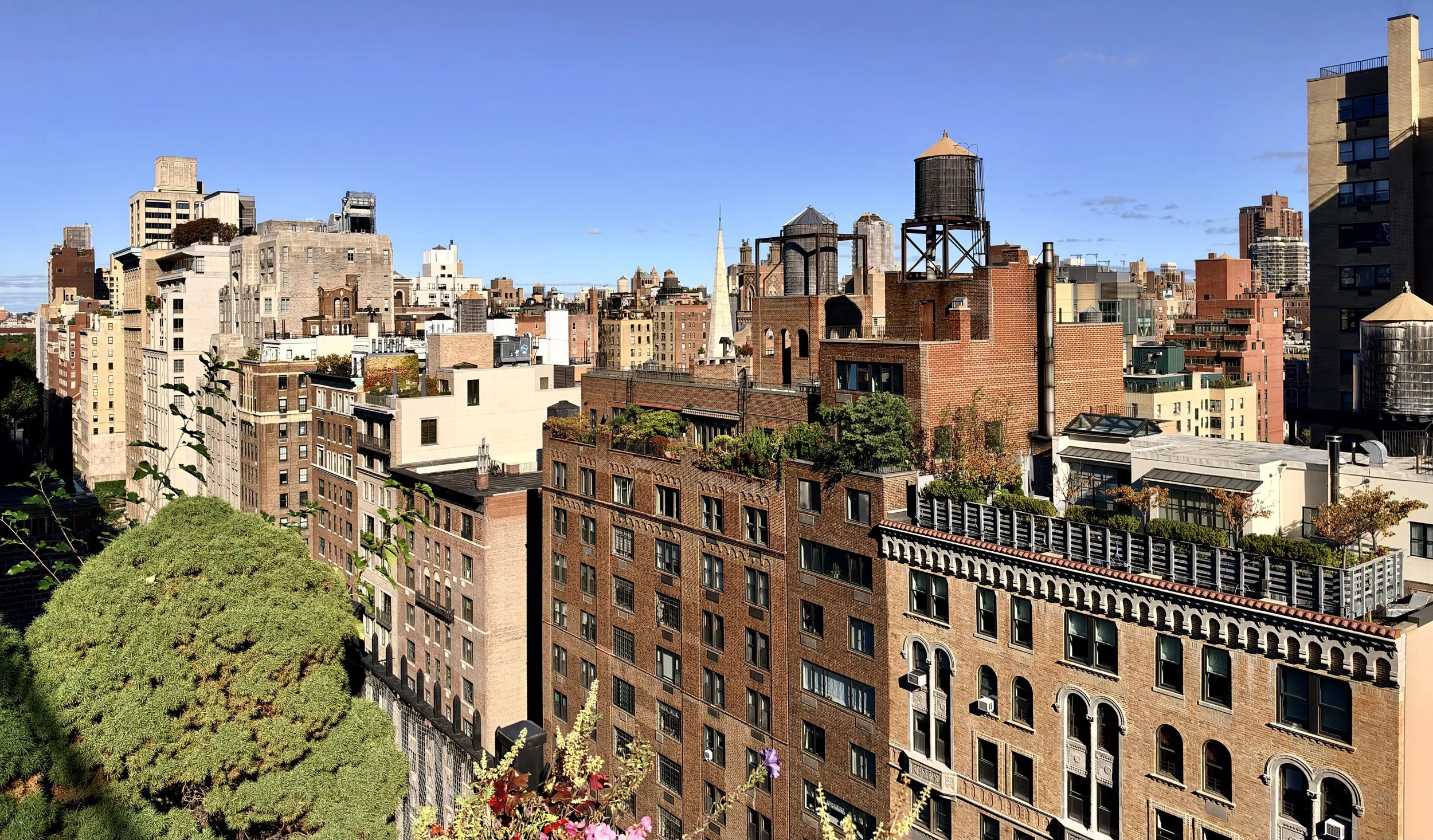  I first selected a scene that included one of those water towers which are such a trademark of Manhattan vistas. This is my original shot, with the water tower at a distance and relatively small. 