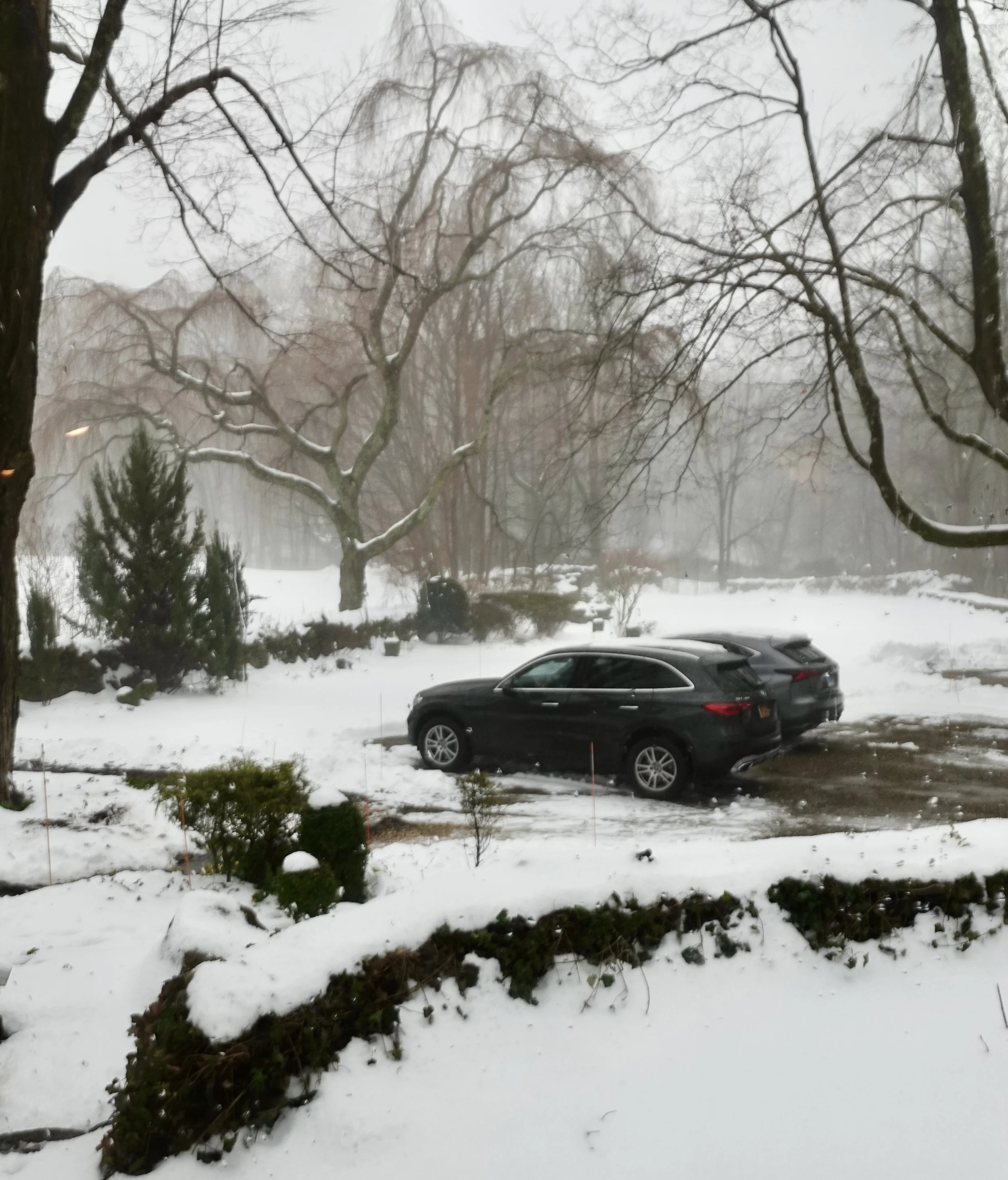  Our cars were able to handle the rain . . . 