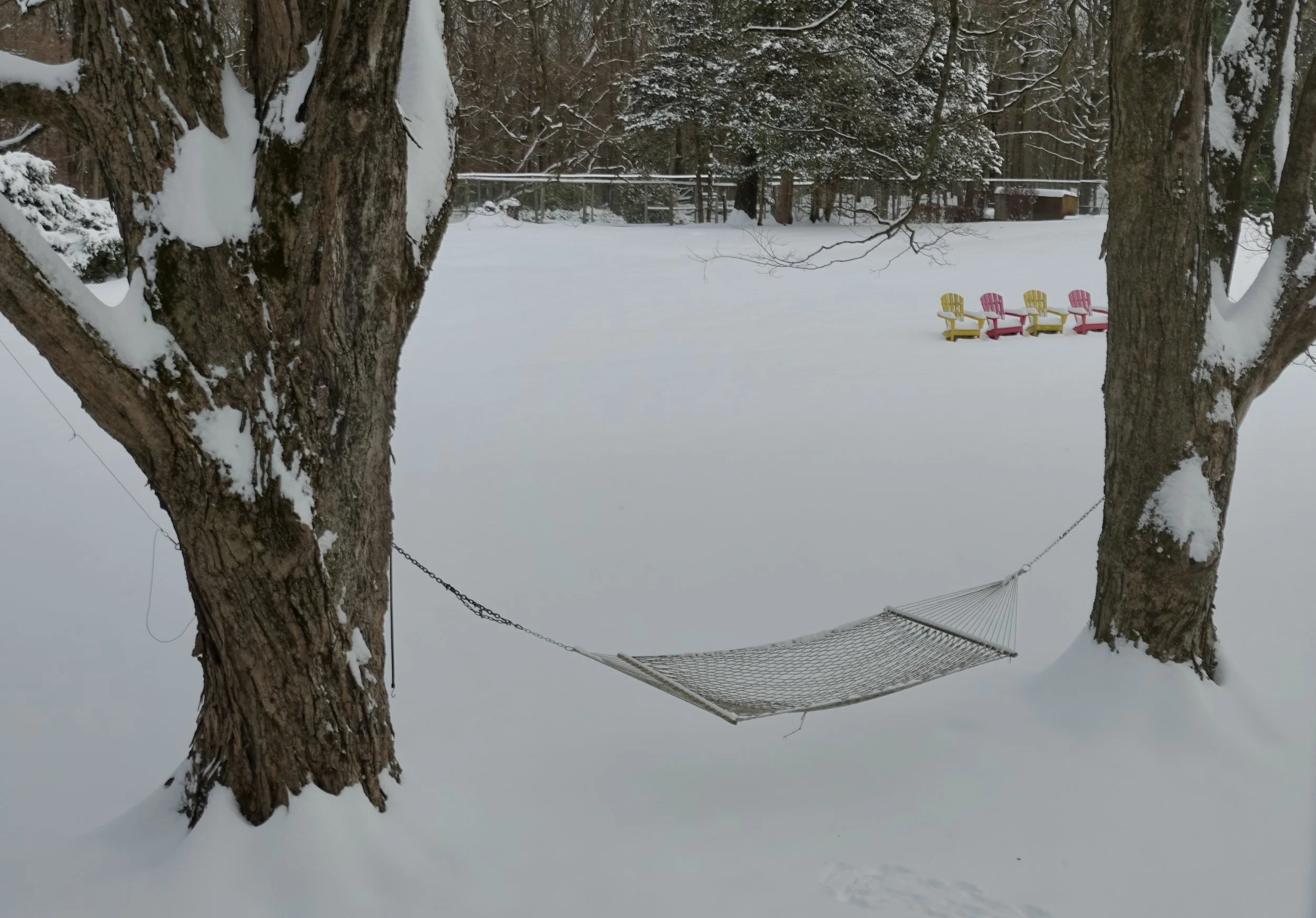  This is one of my favorite views from inside the house. 