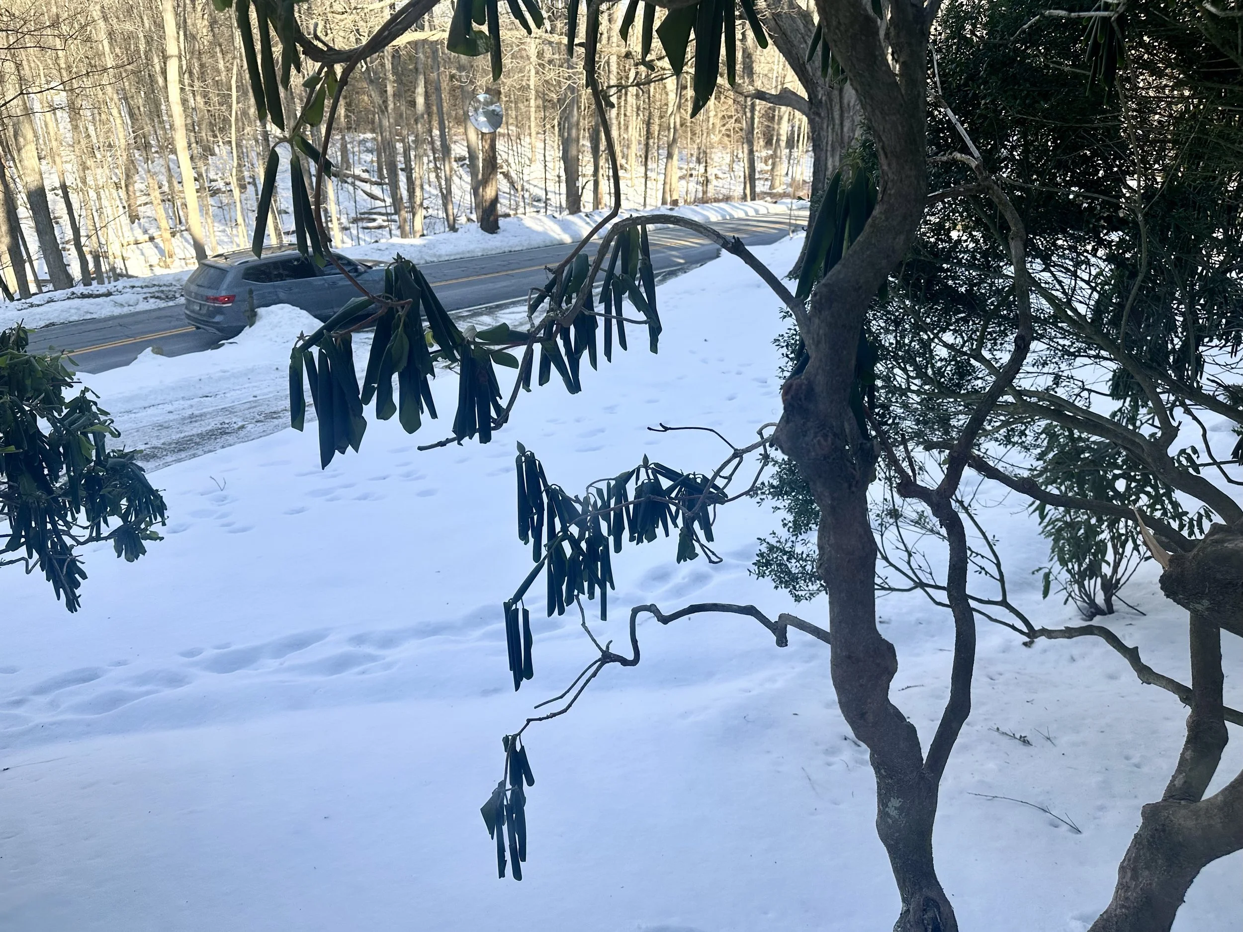  Cars are using the highway . . . 