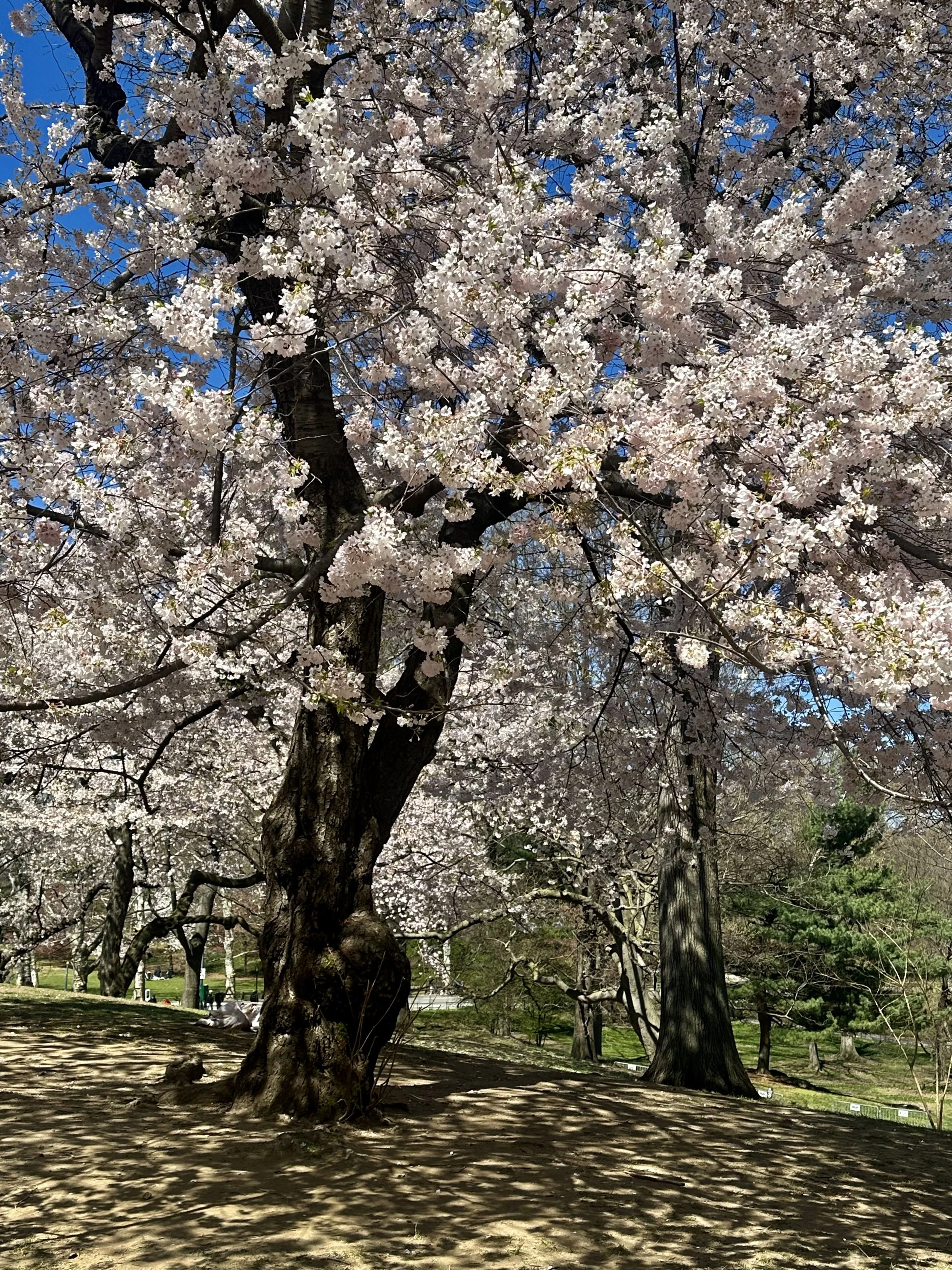  Now back to business. 