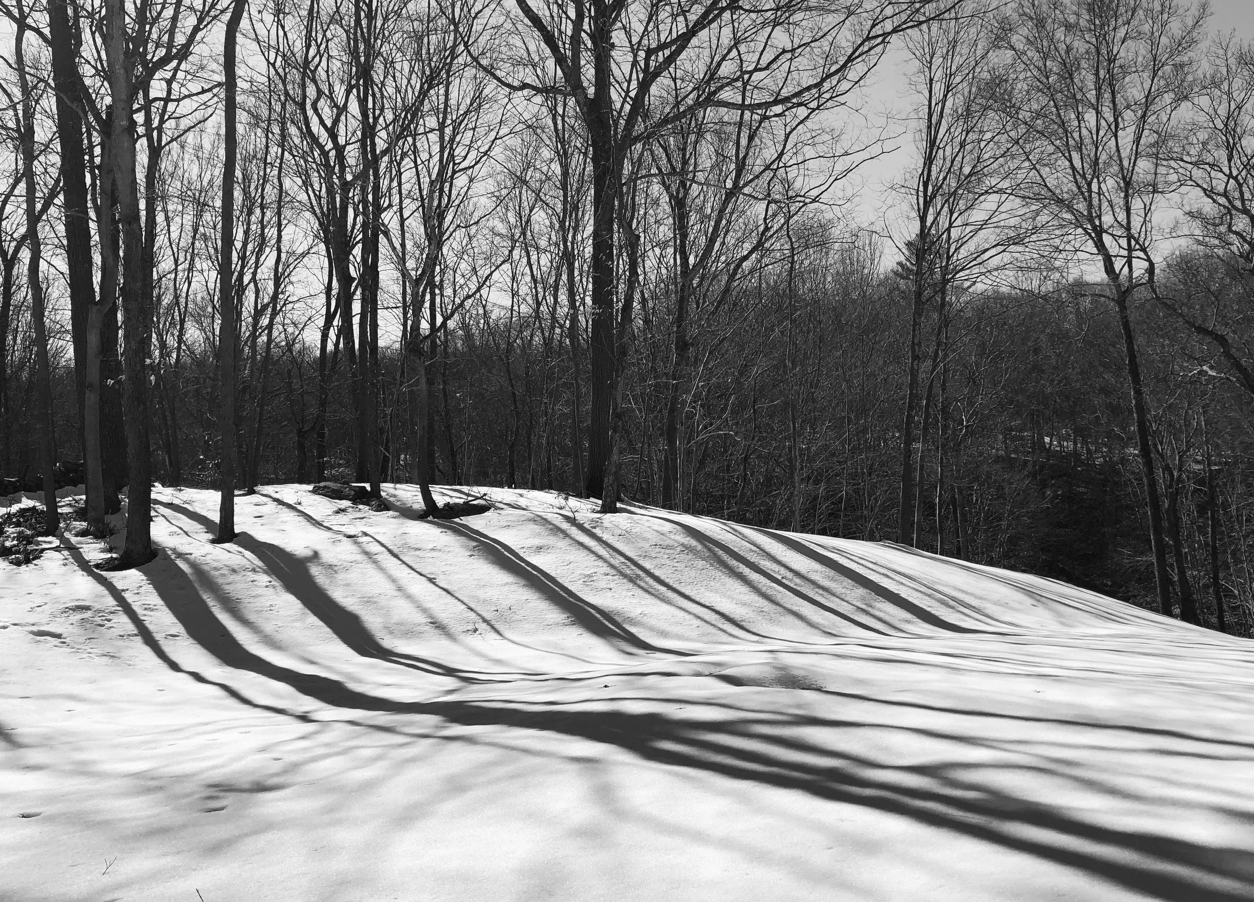 I like the shadows here, echoing the topography of the landscape –  