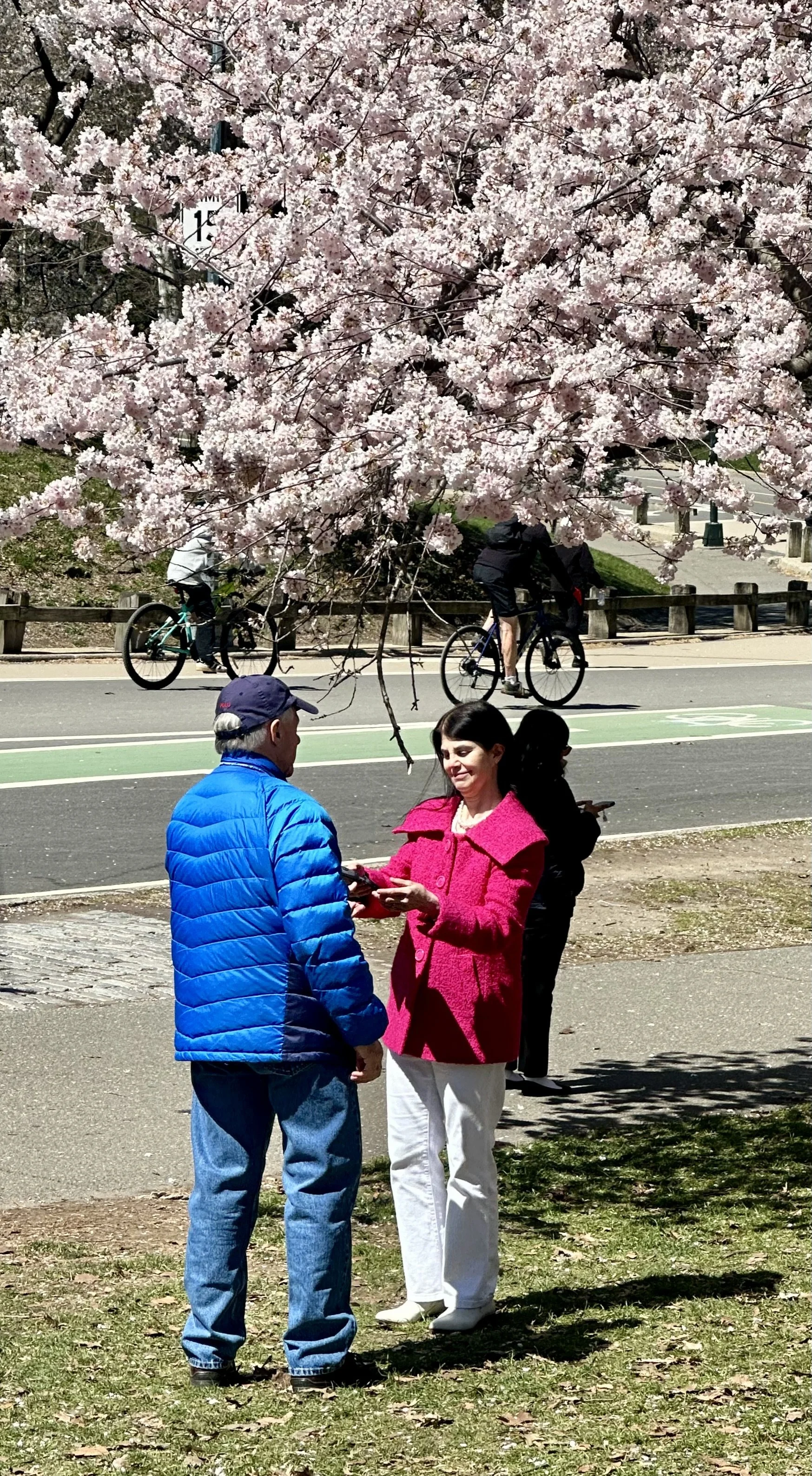  . . . more of the same. 