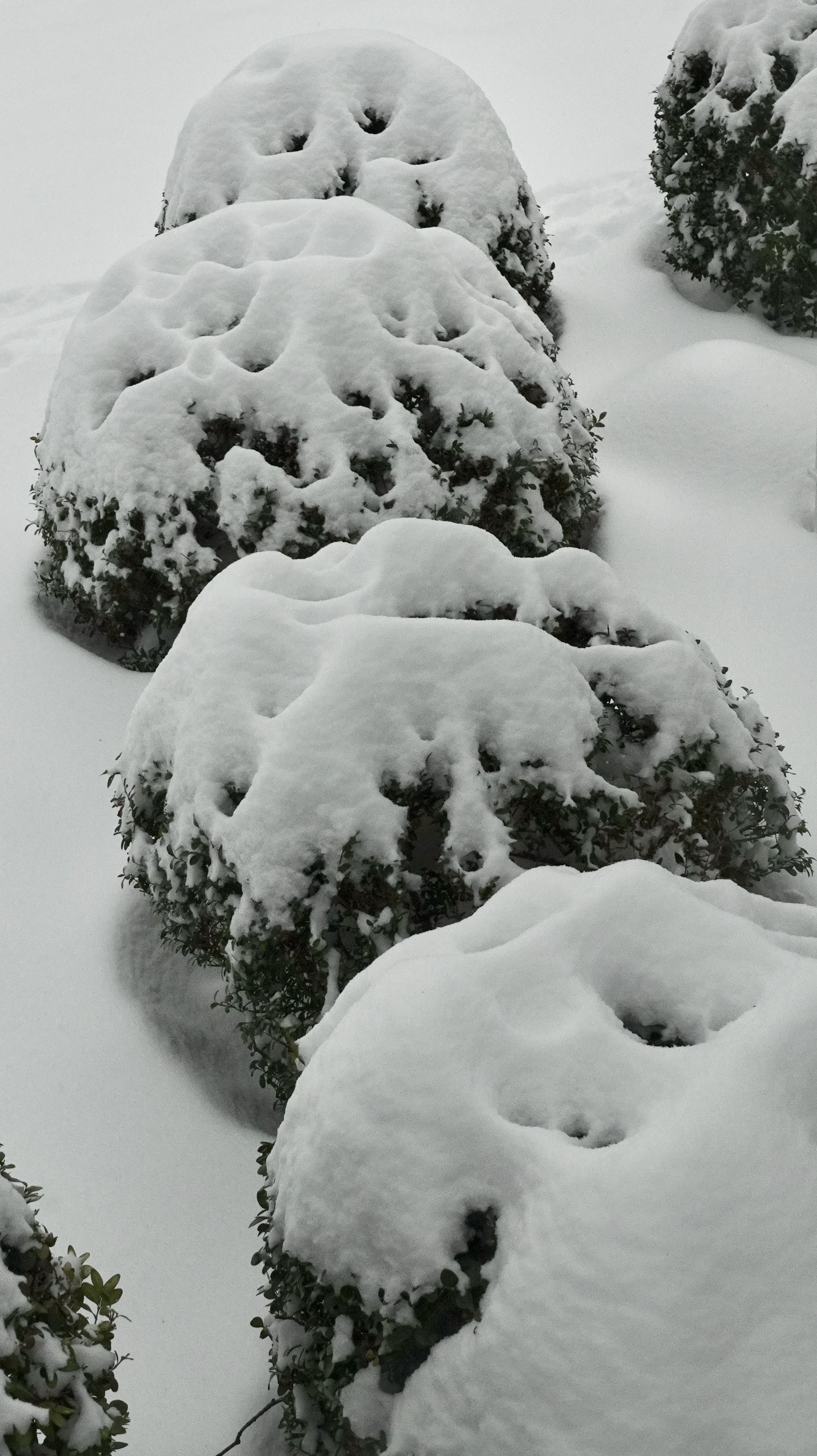  . . . and here in spades. 