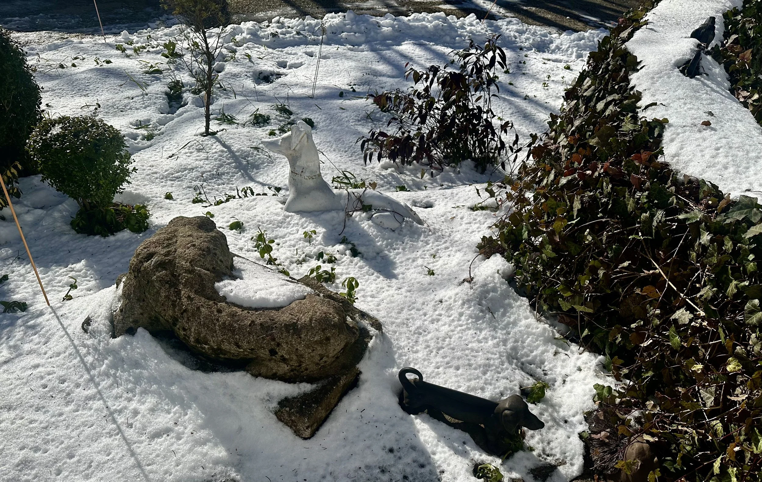  . . . nor are these other two. 