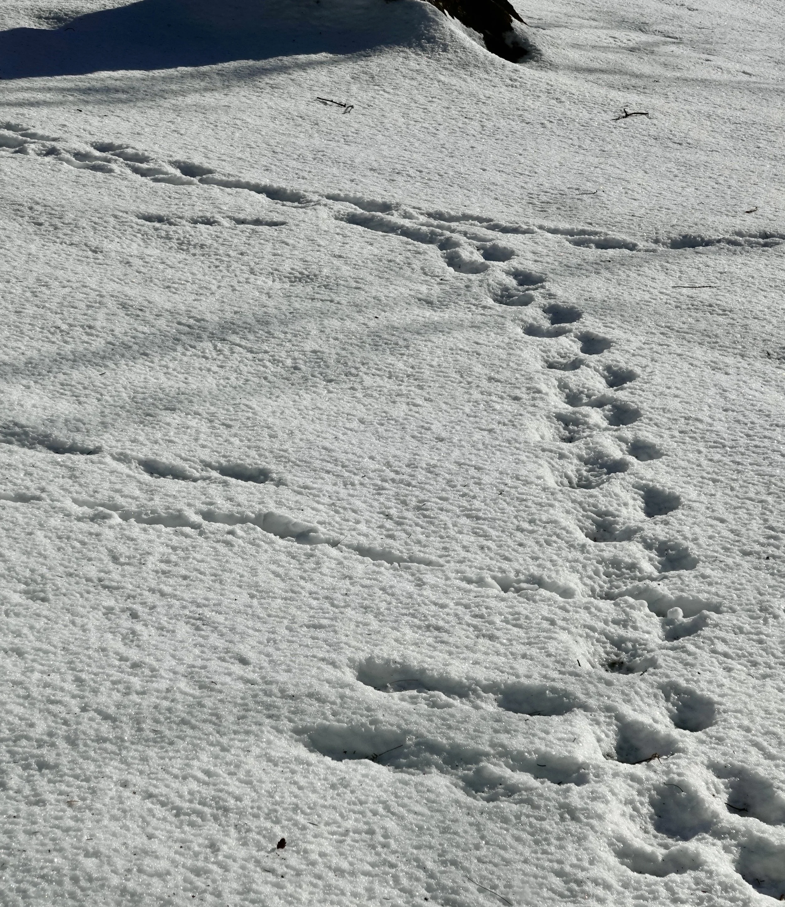  Here’s a close-up of their work. 