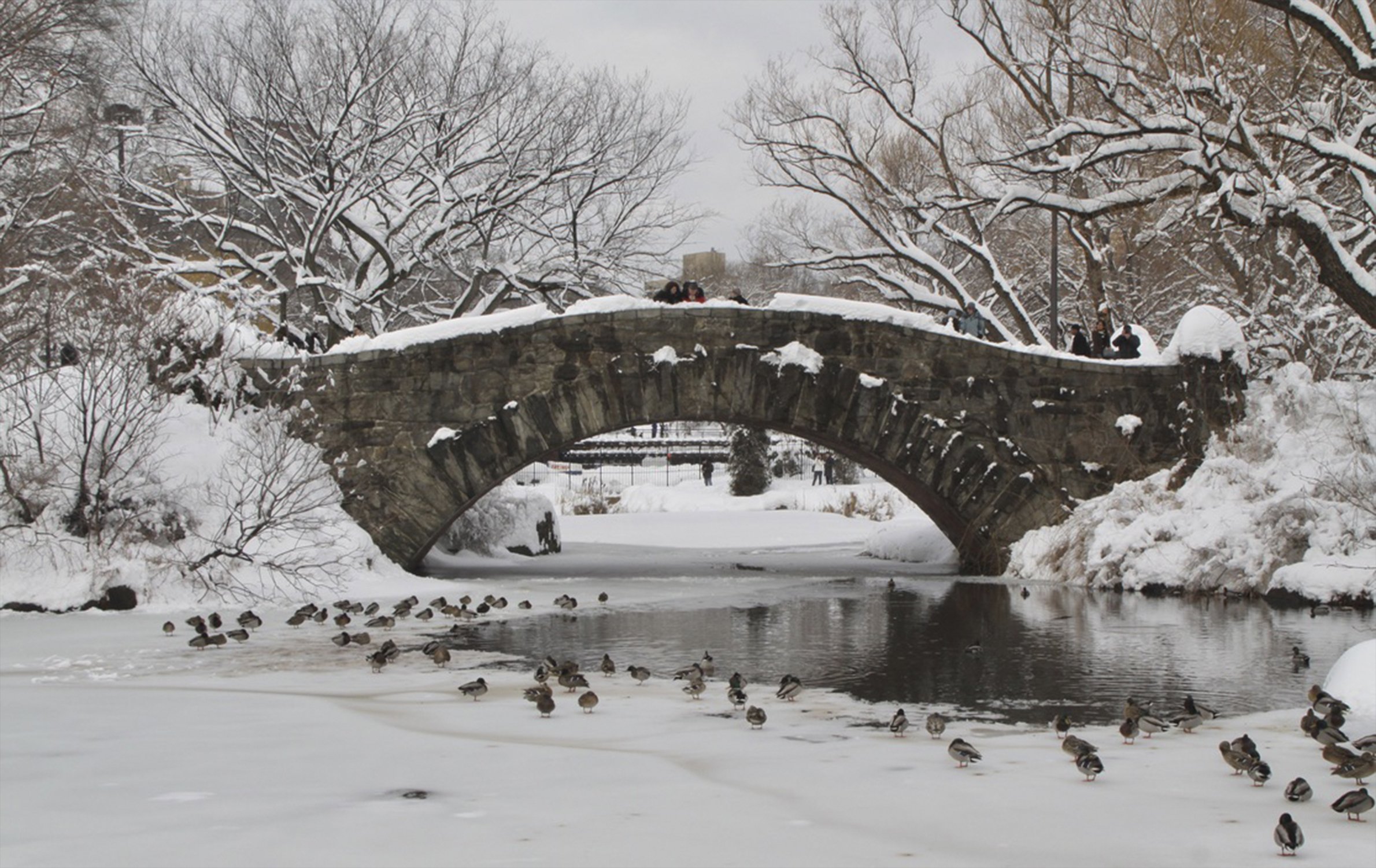 Central Park Blizzard of 2011