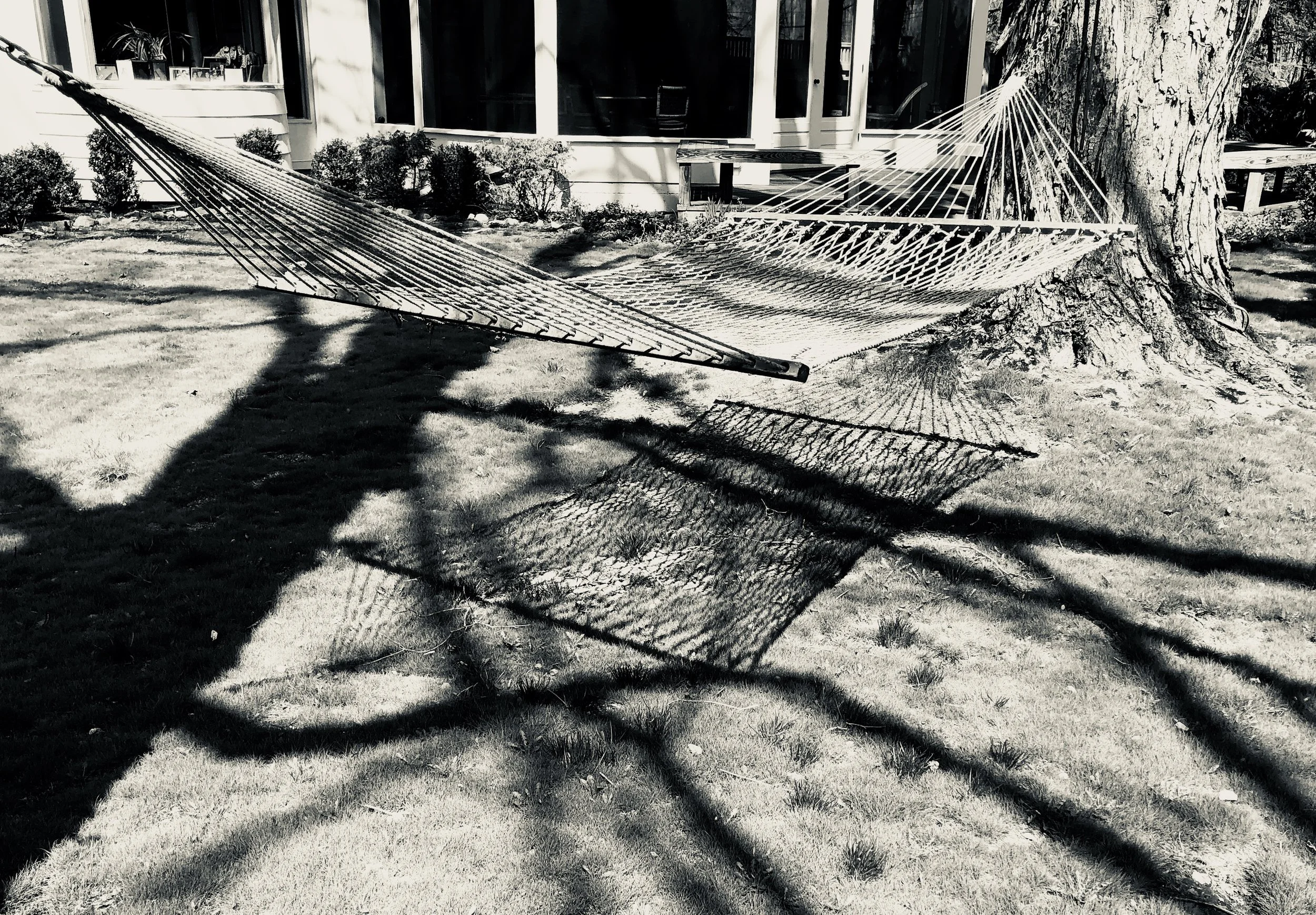  – but now the hammock occupies a central role in the photo and casts an interesting shadow –  