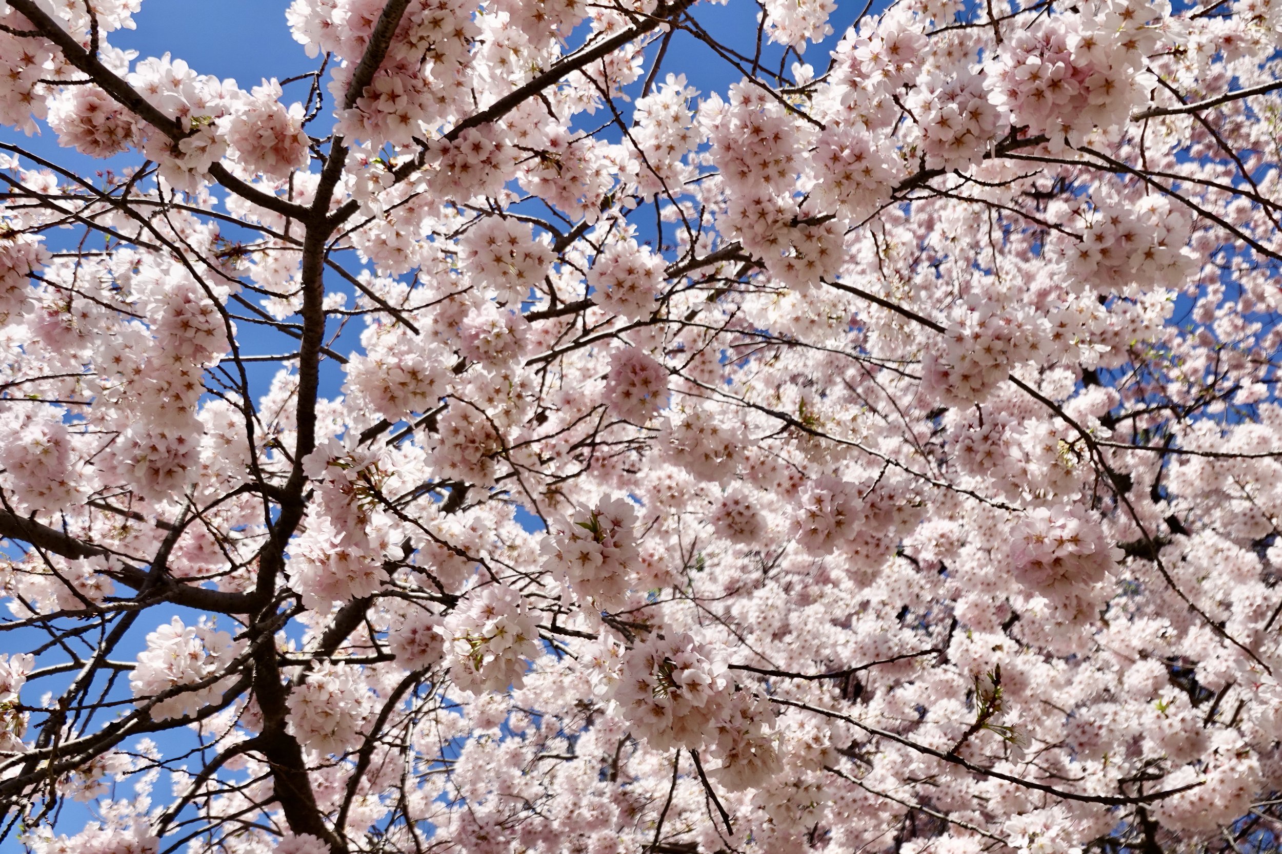  Now very close . . . . 