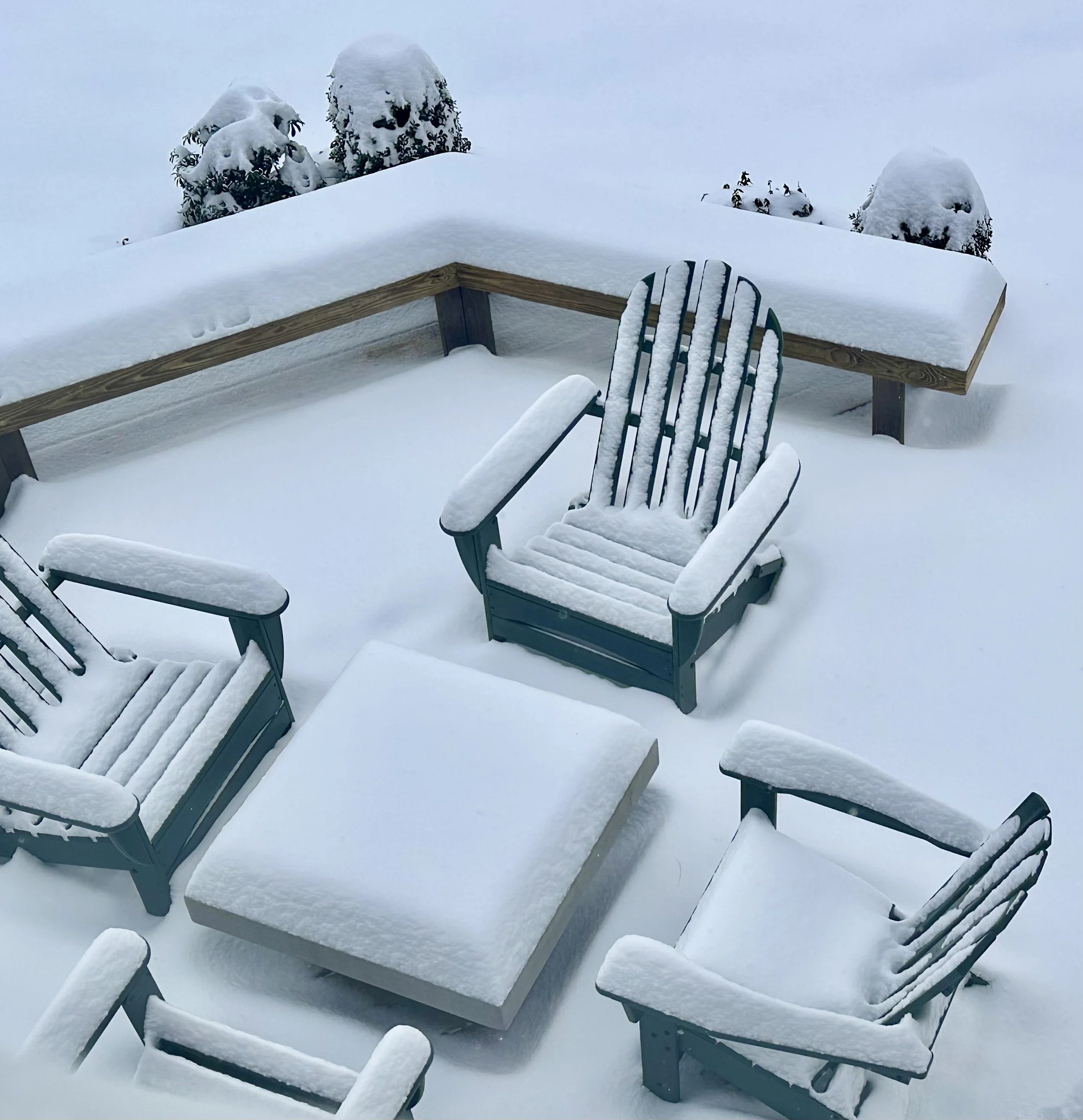  Our outdoor back deck looked at its decked-out best. 