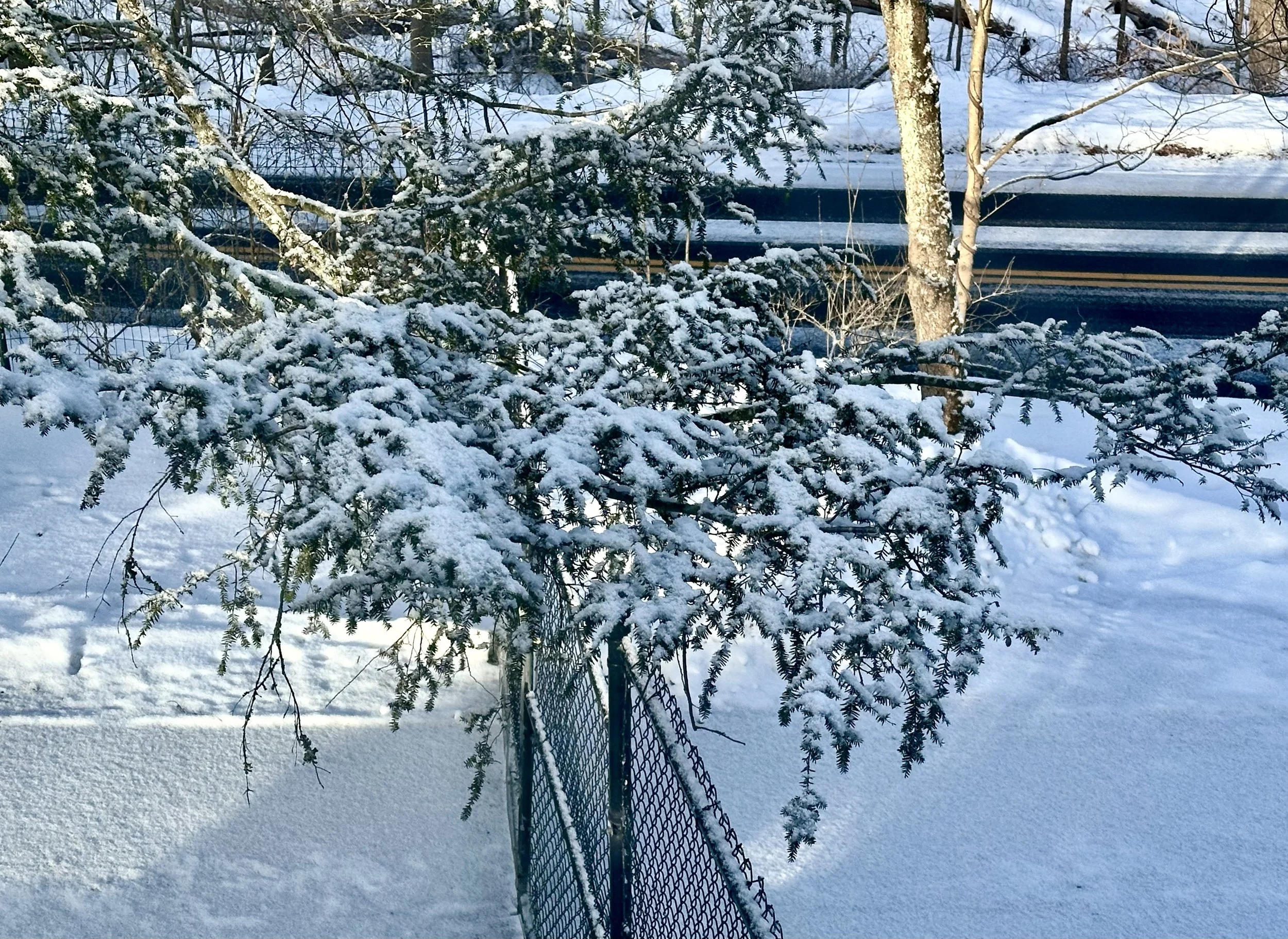  Here’s the gate to our property, ready to be opened for our farewell voyage. 