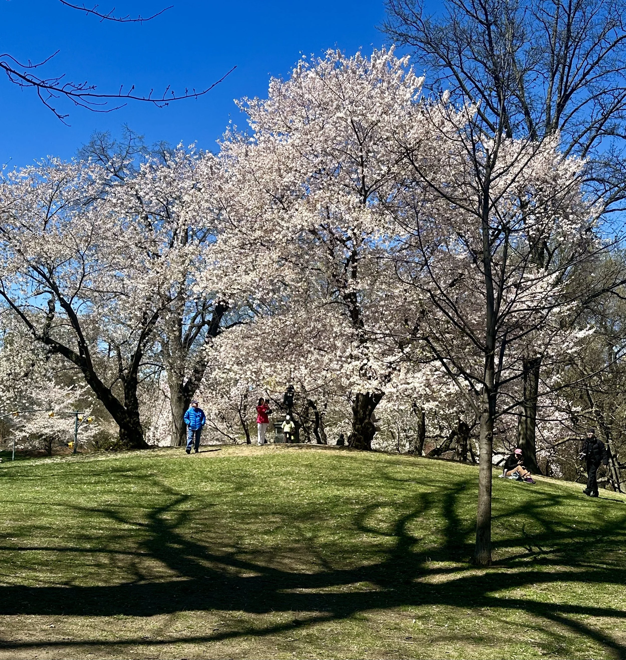  . . . . up this little glade . . . . 