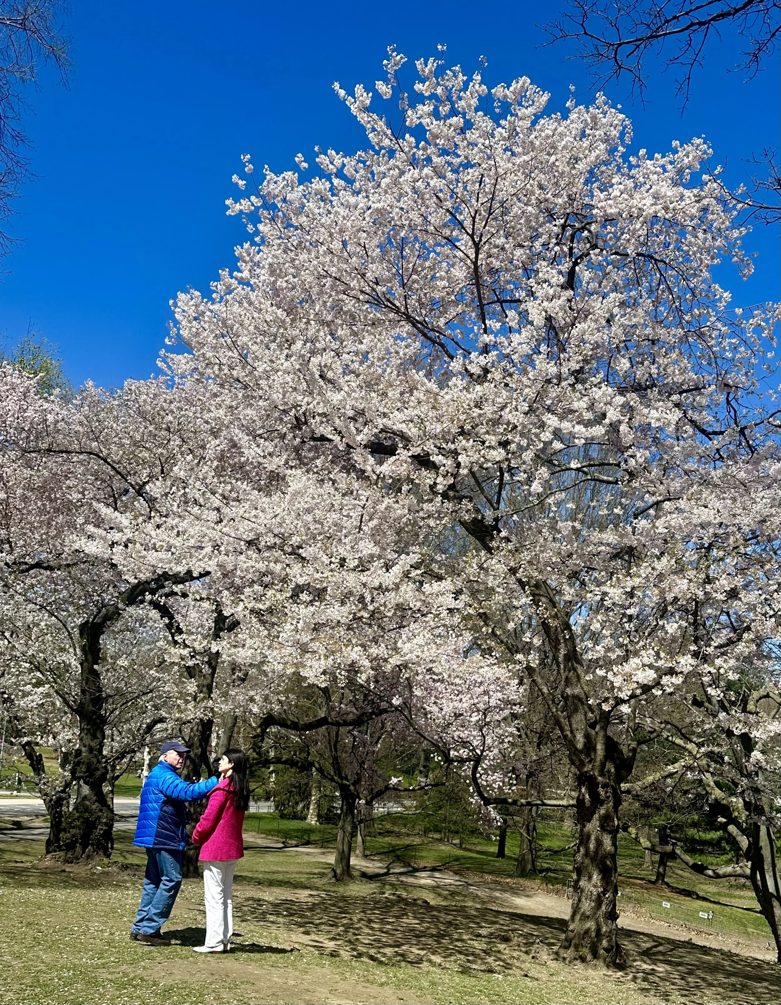  To offset the mostly pink floral display, here’s some solid red-and-blue. . . . 