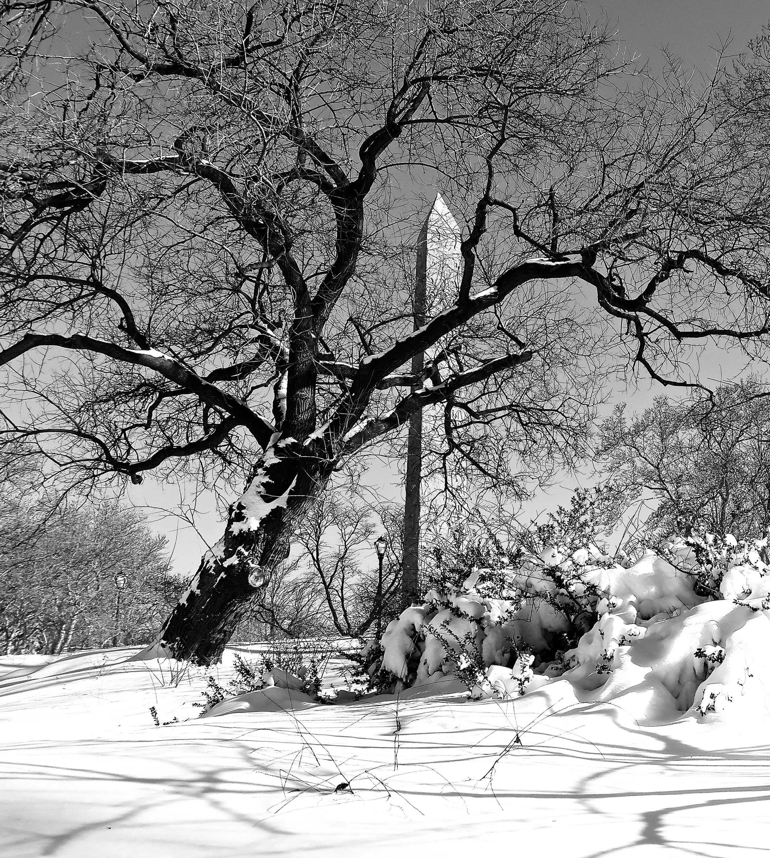  while here, in contrast, it’s the minimal shadows on the snow that create an additional dimension to the composition. 