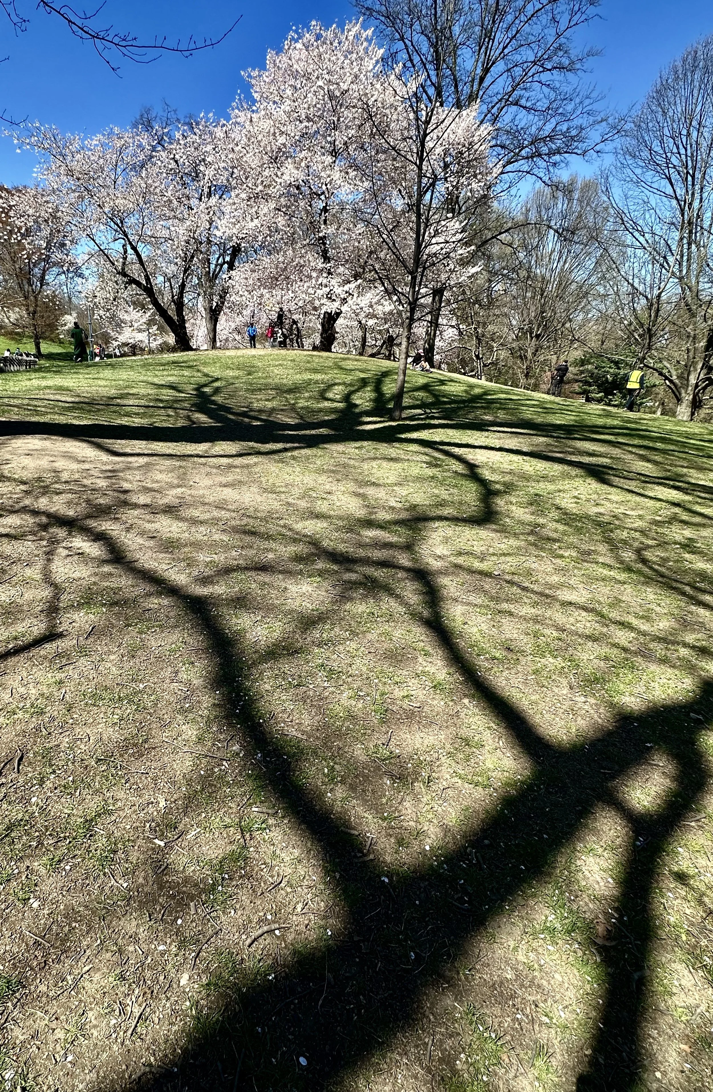  Approaching the scene . . . . 