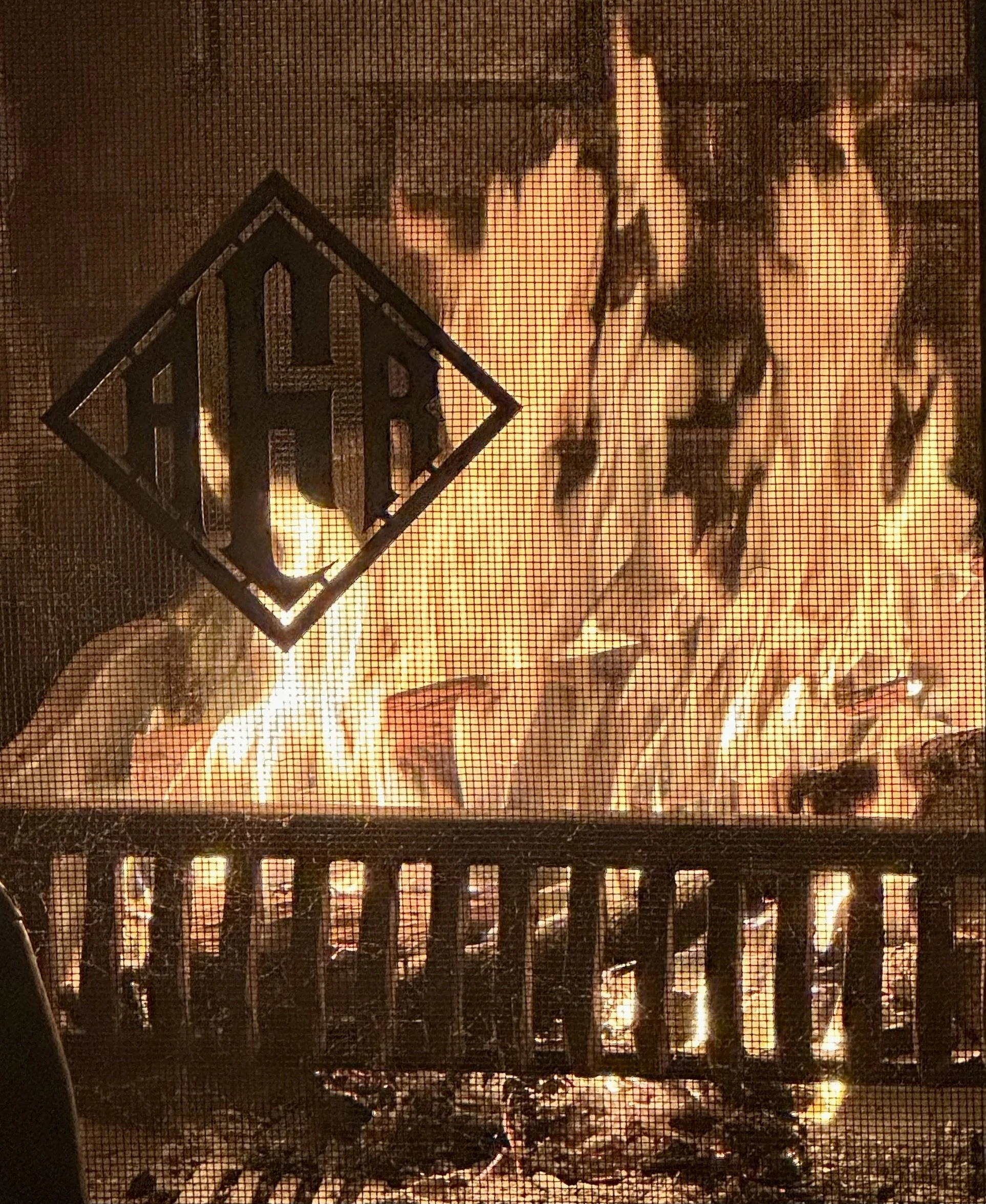  On the day after Christmas, we were seated in our den, warmed by a picturesque fire in the hearth ("aFa" are the initials of Barbara’s dad).  It was such a calm scene . . . . 