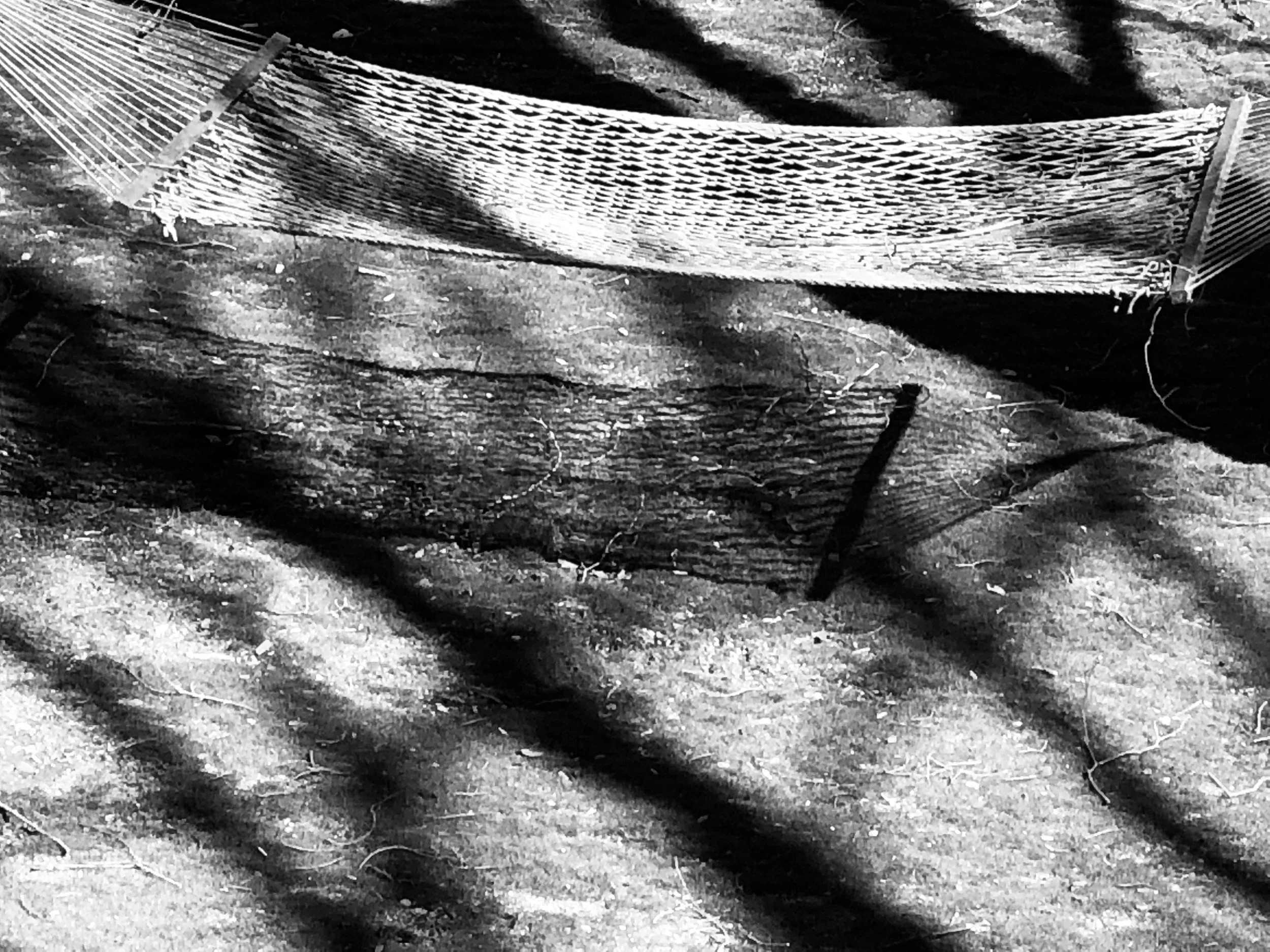  – which I now move in on to create a rather complex picture. 