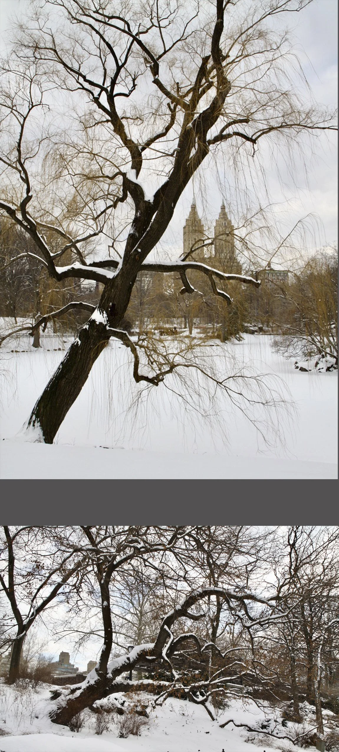  Some more shots I enjoyed. Those towers belong to the  San Remo apartment building on Central Park West. 