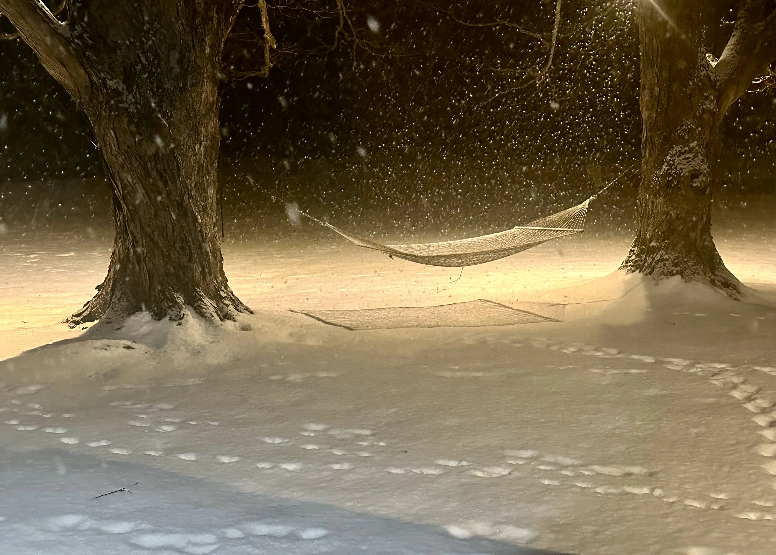  It’s now New Year’s Eve, and the rains have returned. 