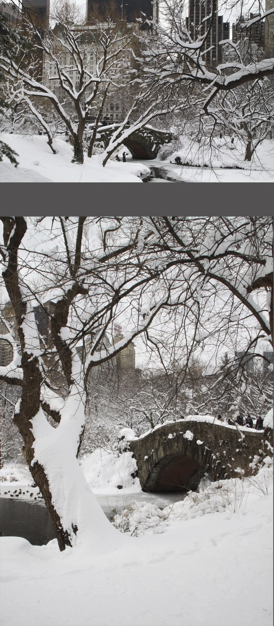  Here are two other views of the Gapstow Bridge  (previously featured in this portfolio’s lead picture). 