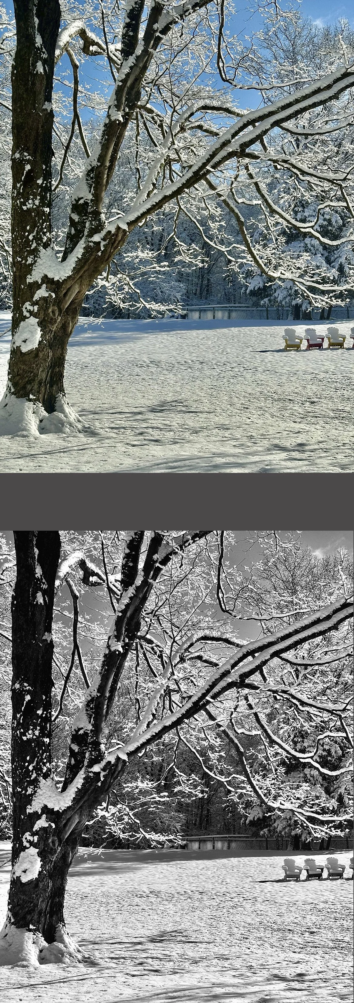 The distinction is most notable when, as on this shot, the sun is shining and there’s a blue sky or some other color aspect to the photo. Here, the blue sky adds a nice touch, so I prefer it over the filtered black & white, although other observers m