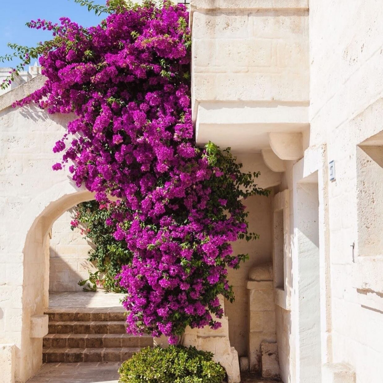 Purple in Puglia 🇮🇹

#italydreaming #puglia #italyexpert #luxurytravelconsultant #luxurytraveller #hoteladdict #beautifuldestinations