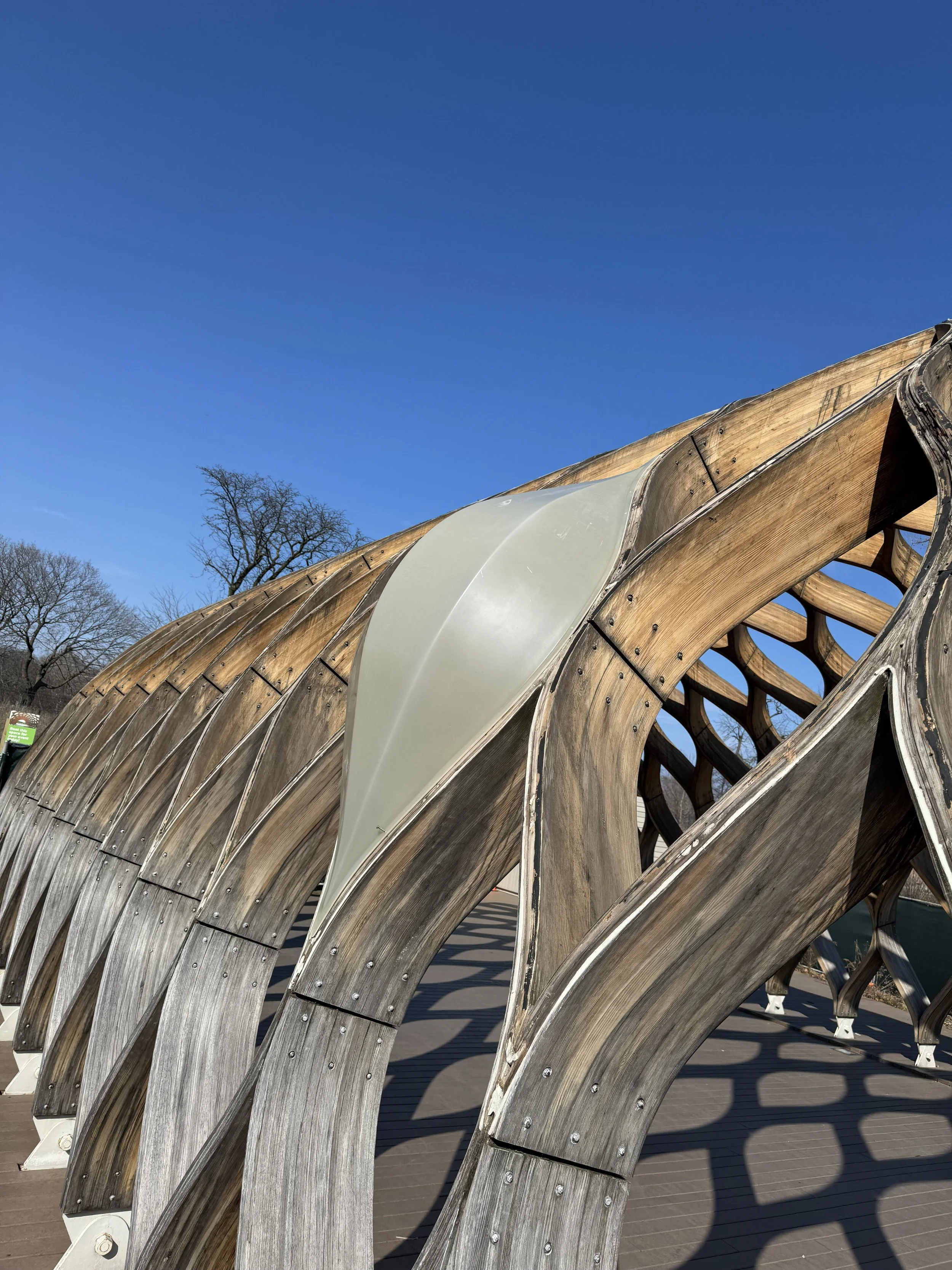 Outdoor wooden arch structure under a clear blue sky with bare trees in the background.