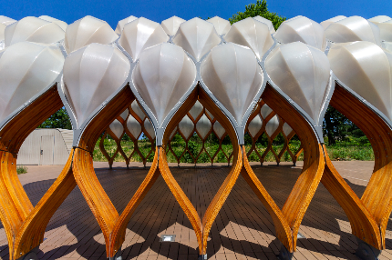 Architectural structure with wooden arches and translucent panels