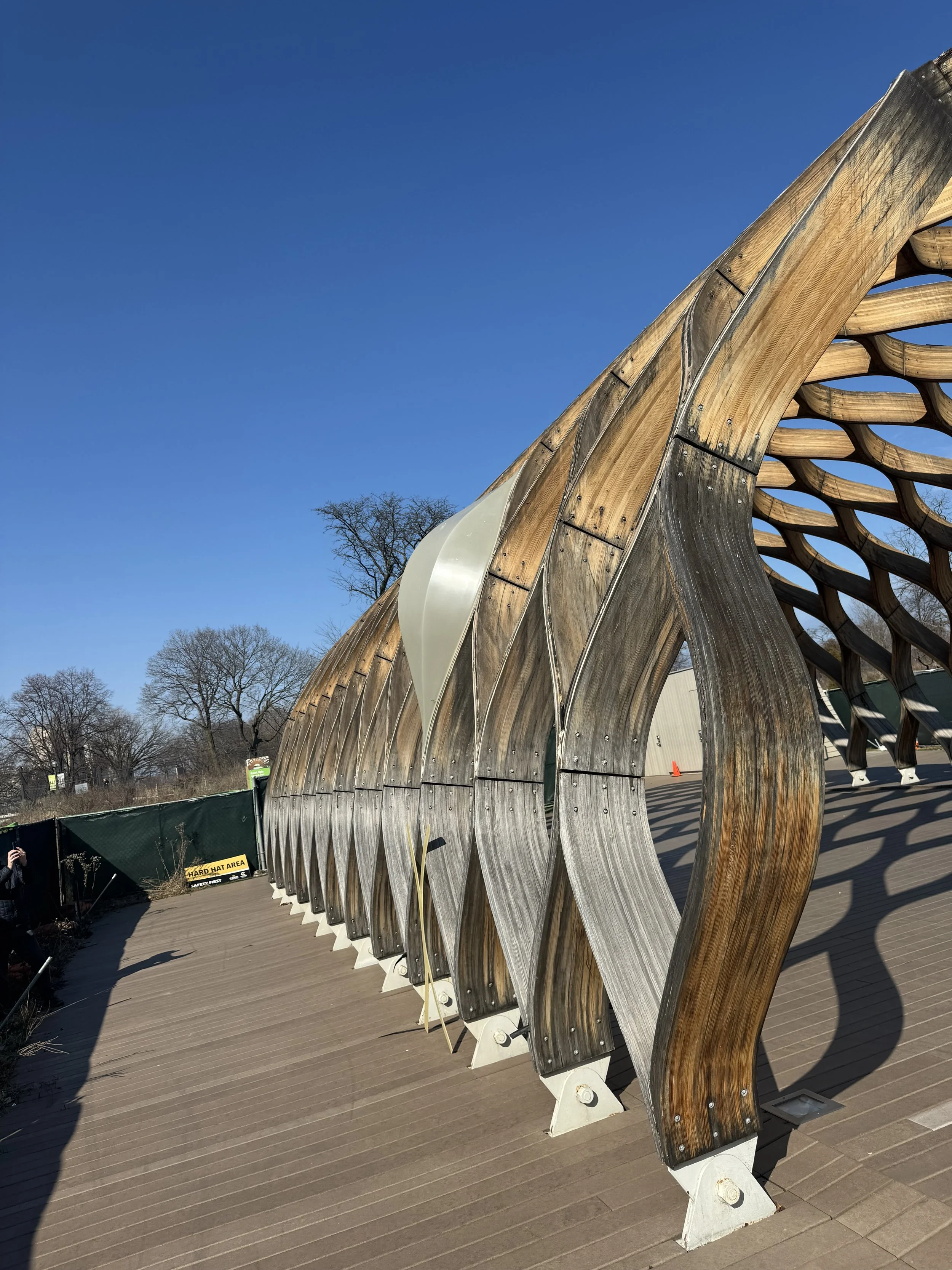 Wooden bridge with curved design at a park, under a clear blue sky.