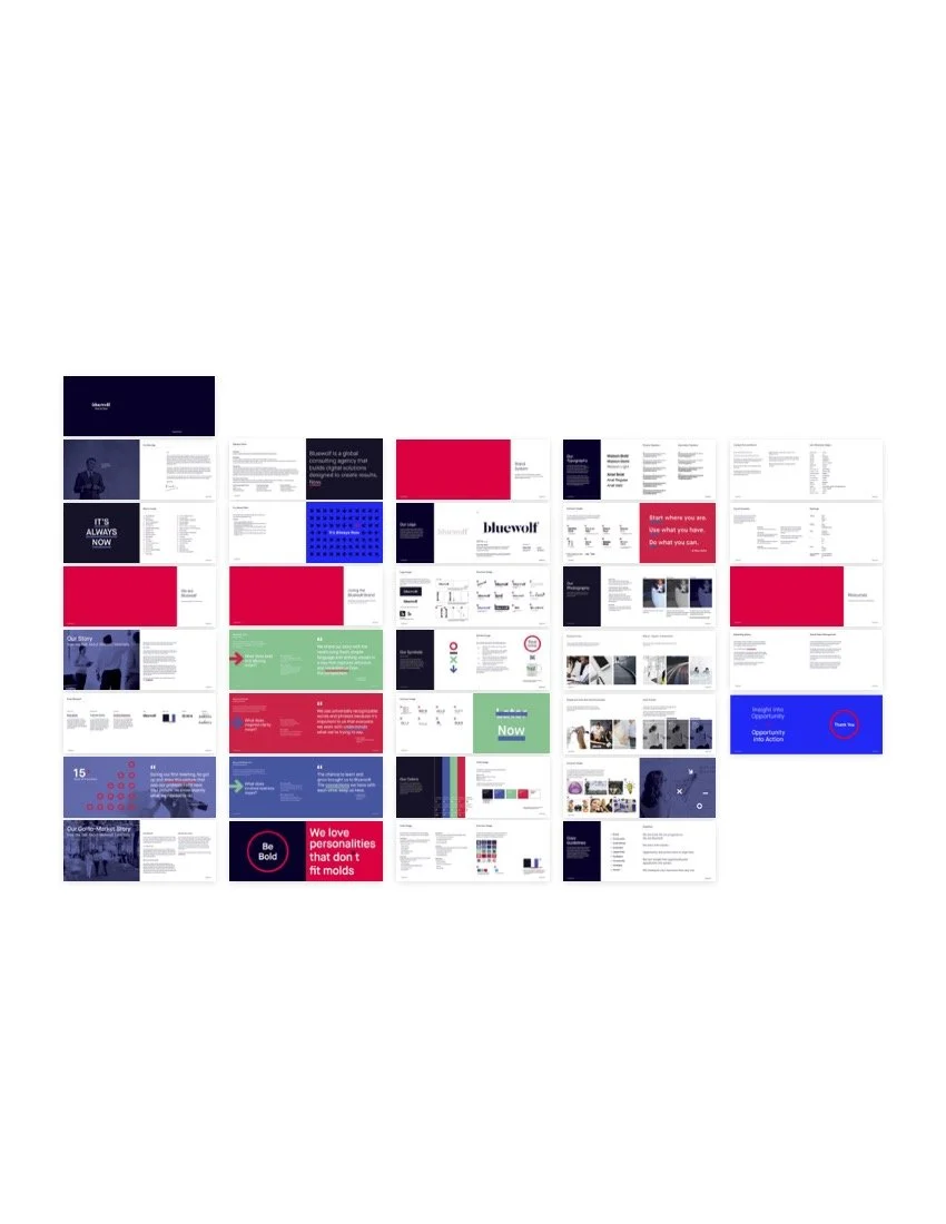 Bluewolf_Brand_Book.jpg