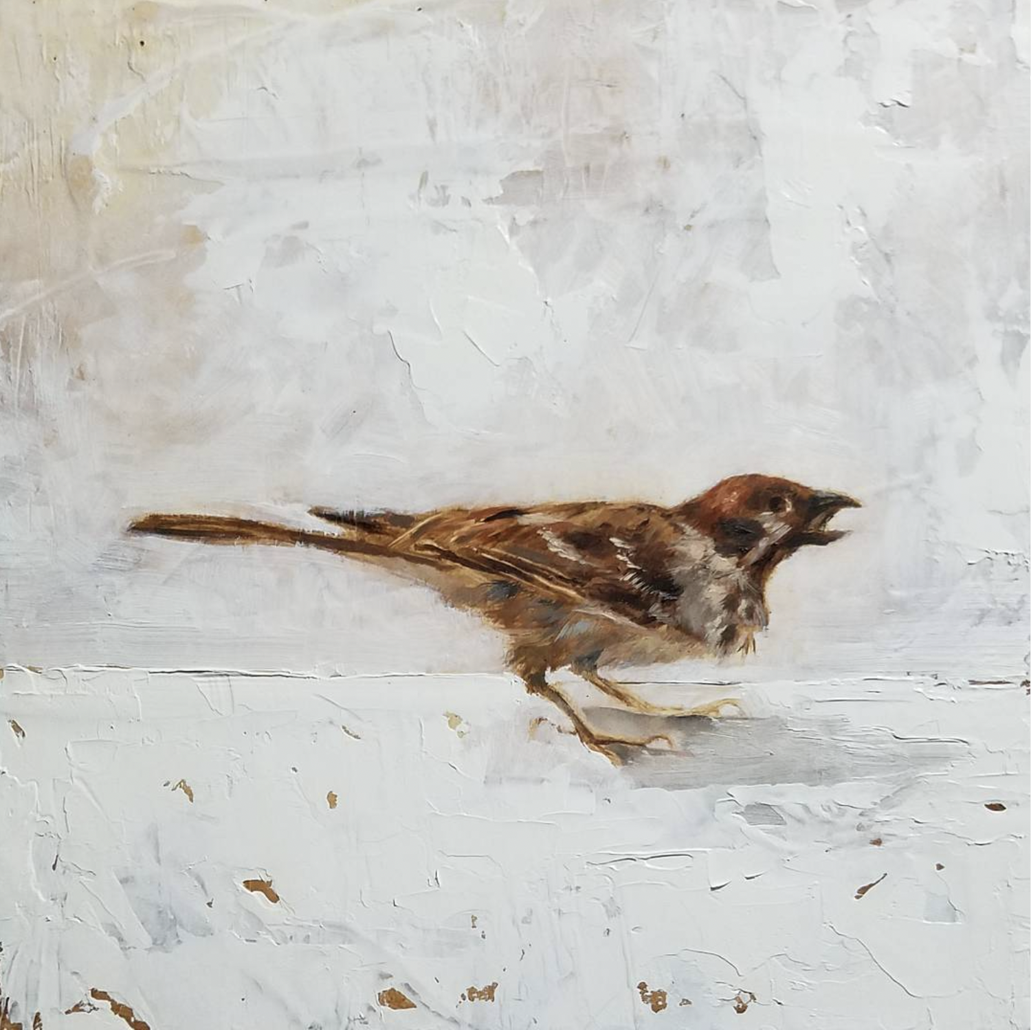 House Sparrow. Oil on Wood Panel. 2014. 8" x 8" (sold)