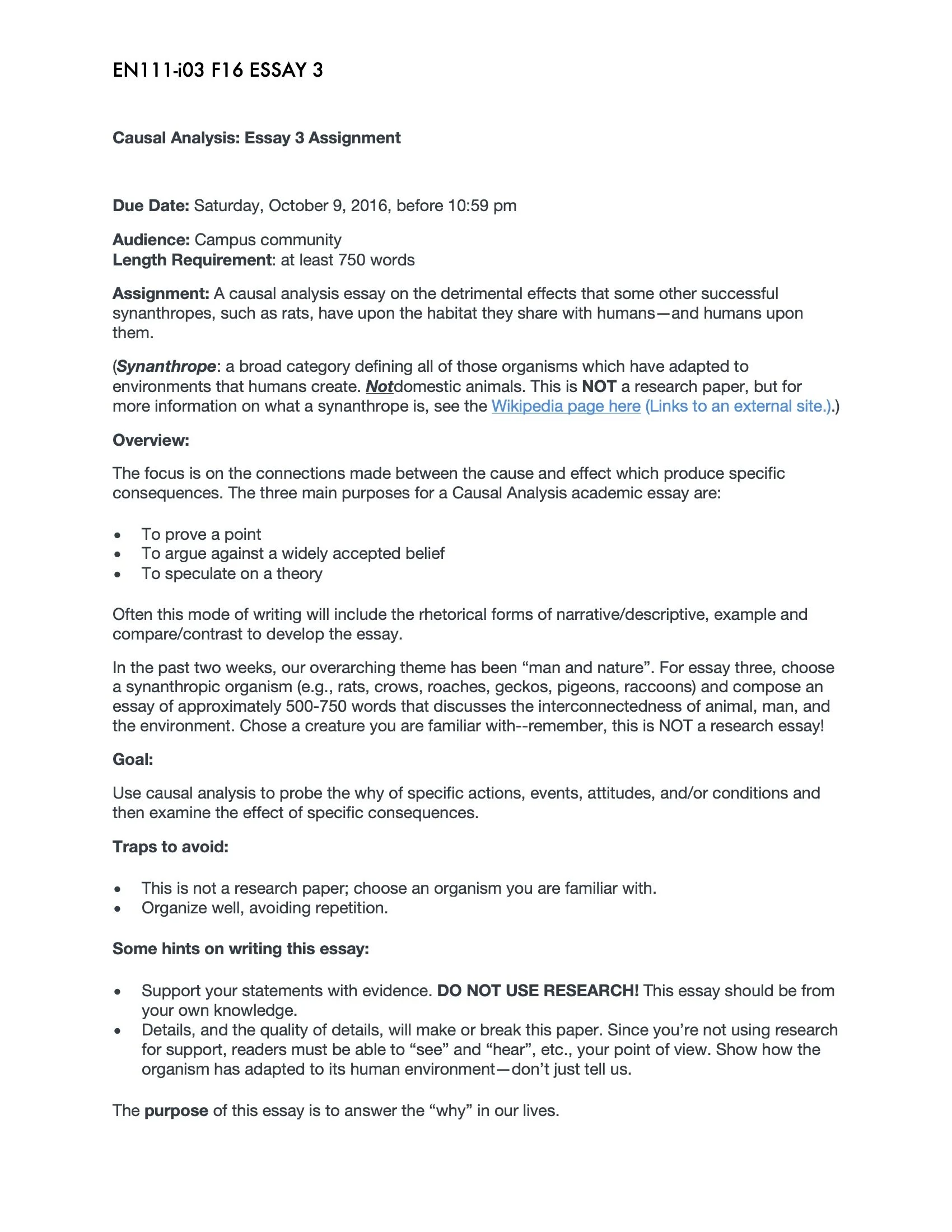 Essay 3: Causal Analysis