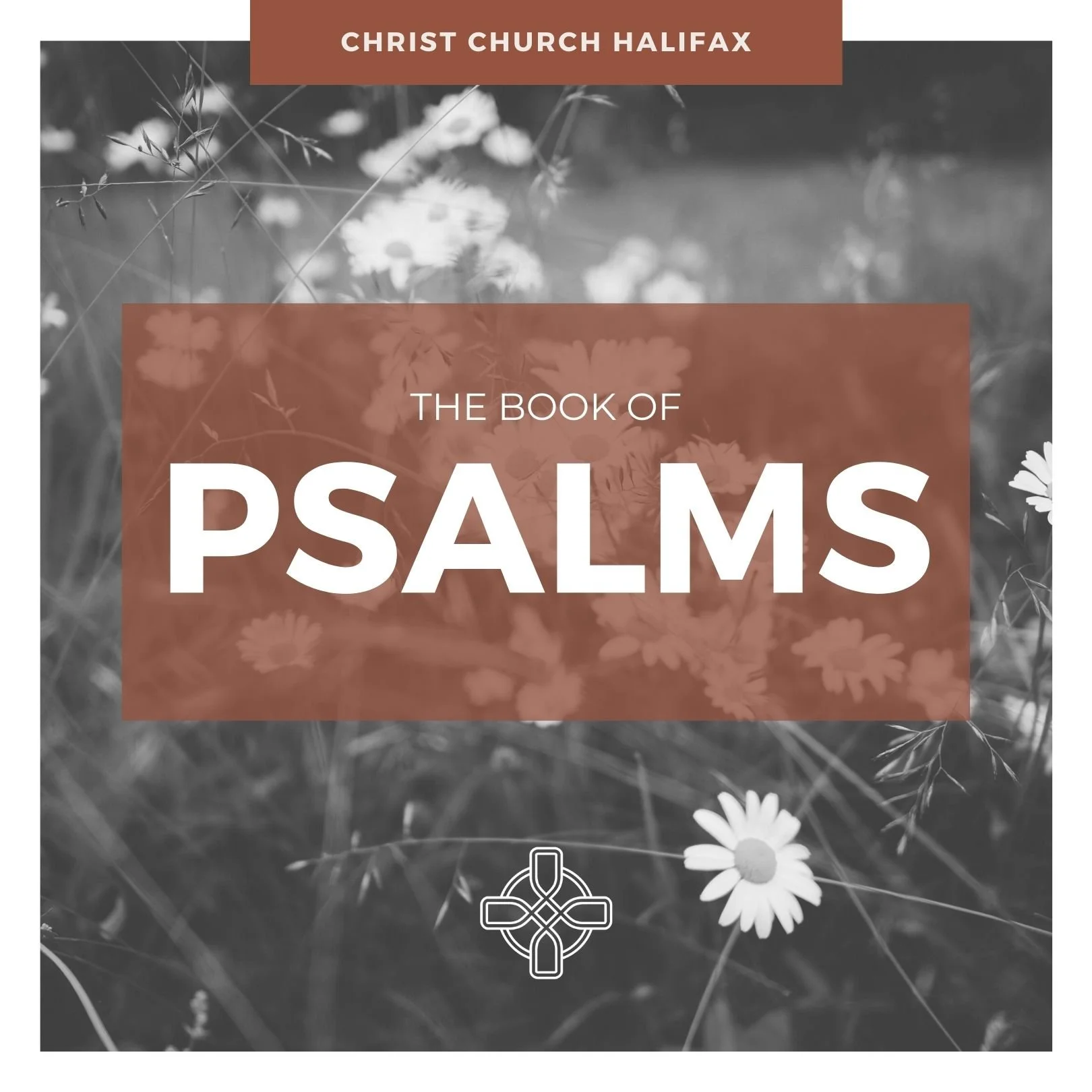 Psalm 1: Two Ways to Live