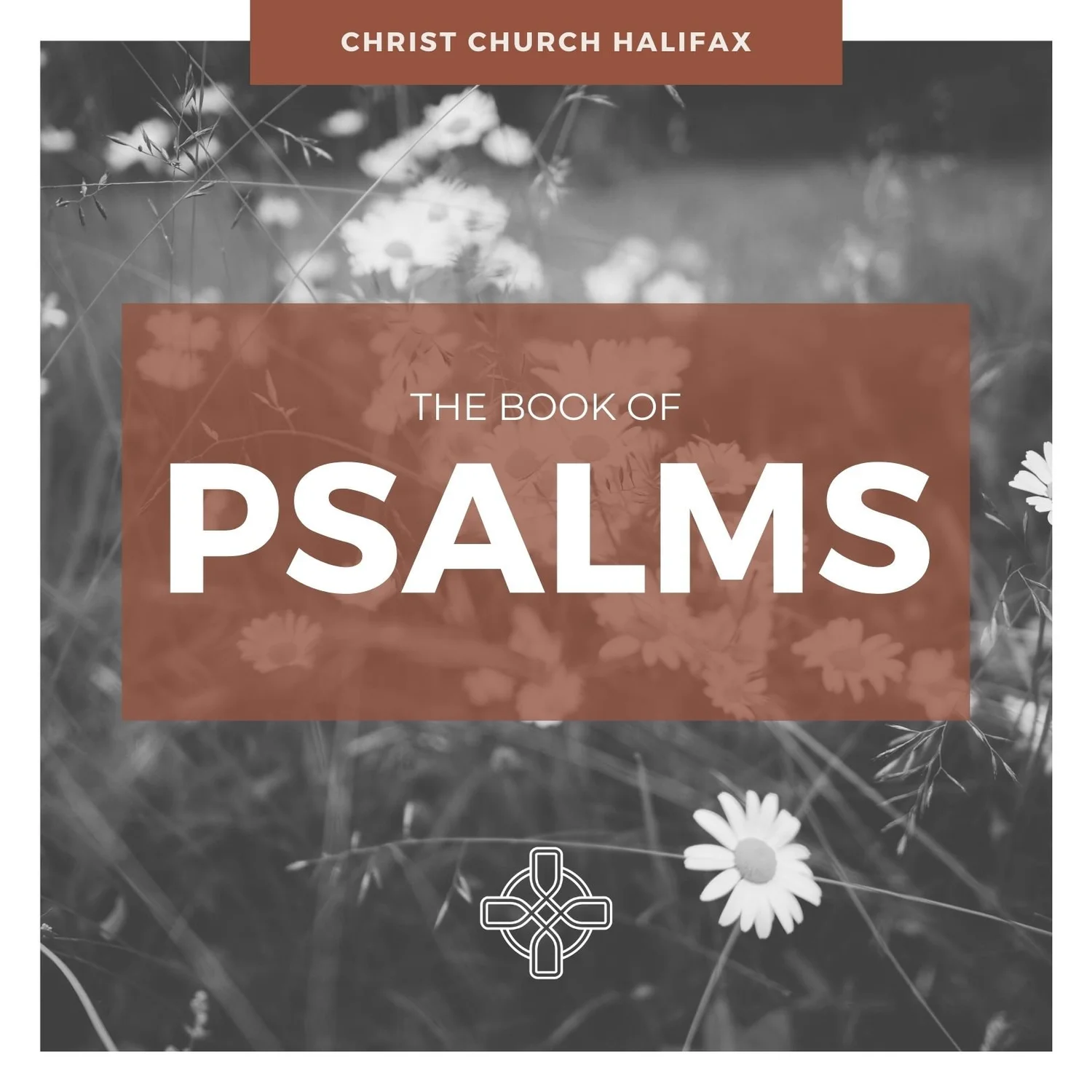 The God Who Rescues (Psalm 18)