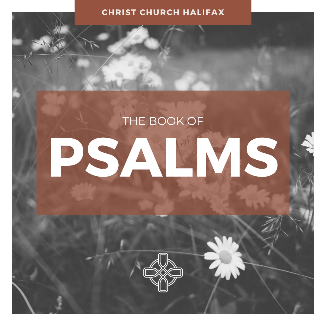 Sunday, March 1, 2026 | Psalm 148