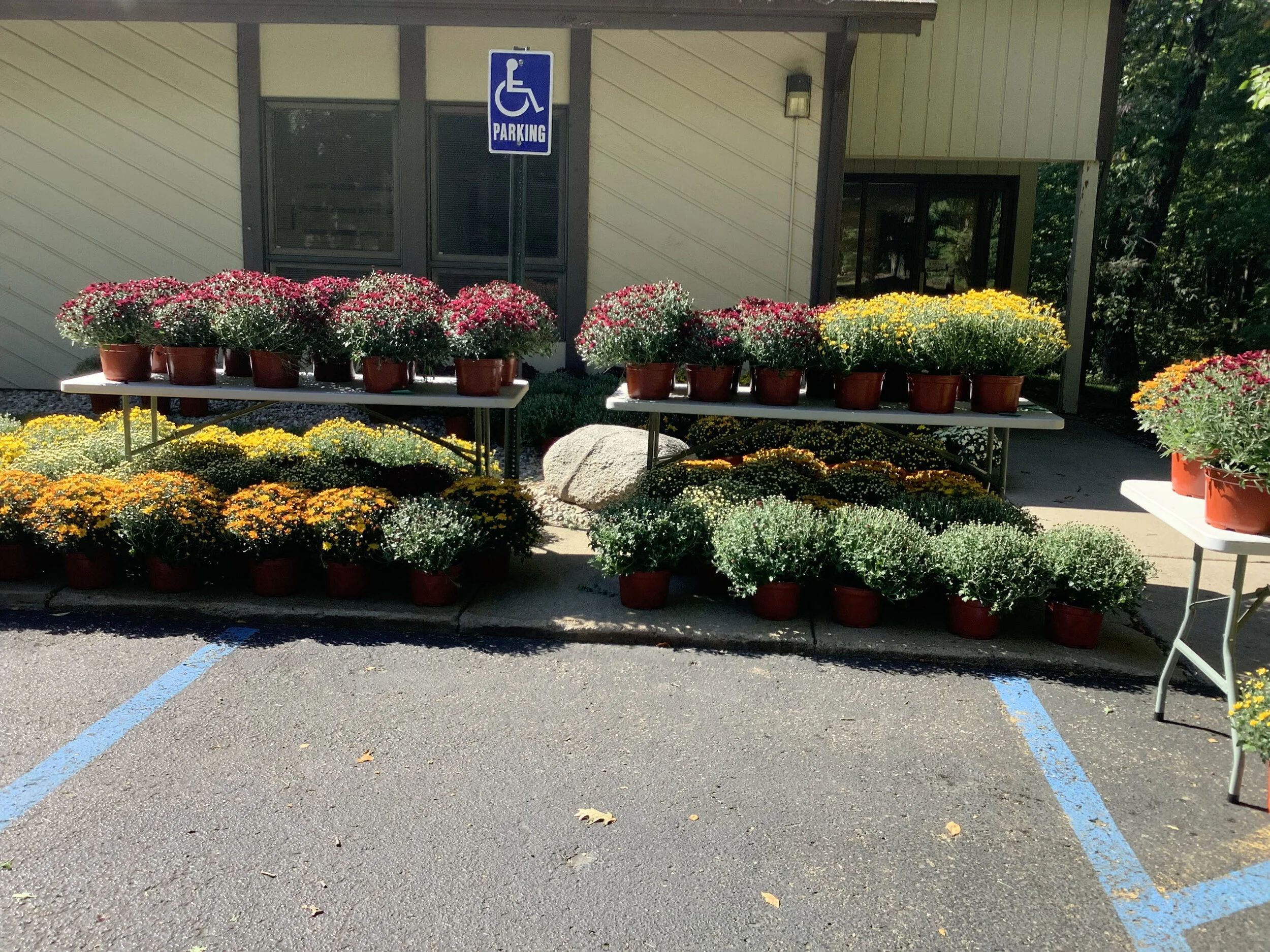 Mums are here! — The Suzuki Academy of Kalamazoo