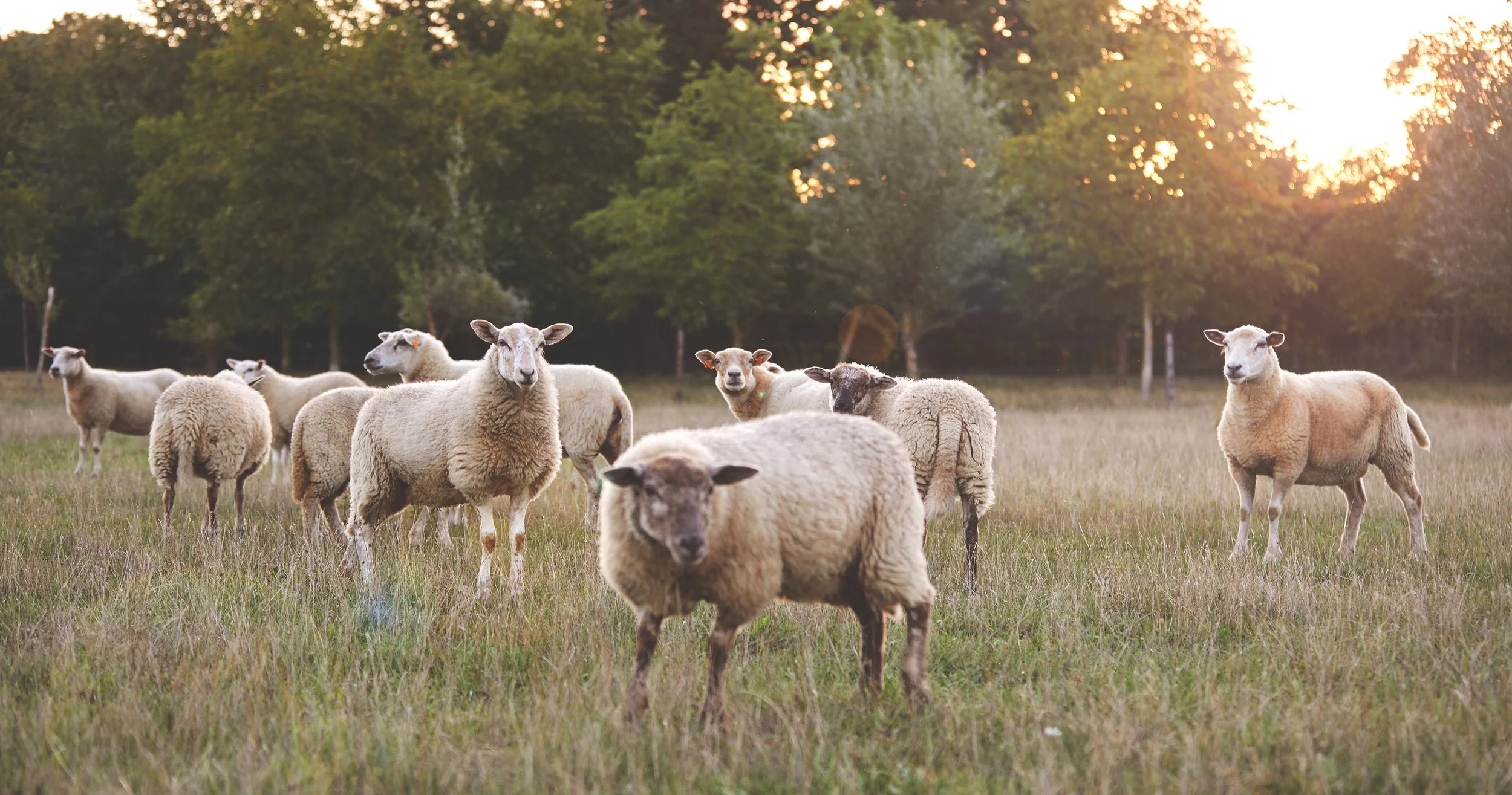 TSP20011_RiverWoods-Herst-Winter-2020_033 kopiëren.jpg