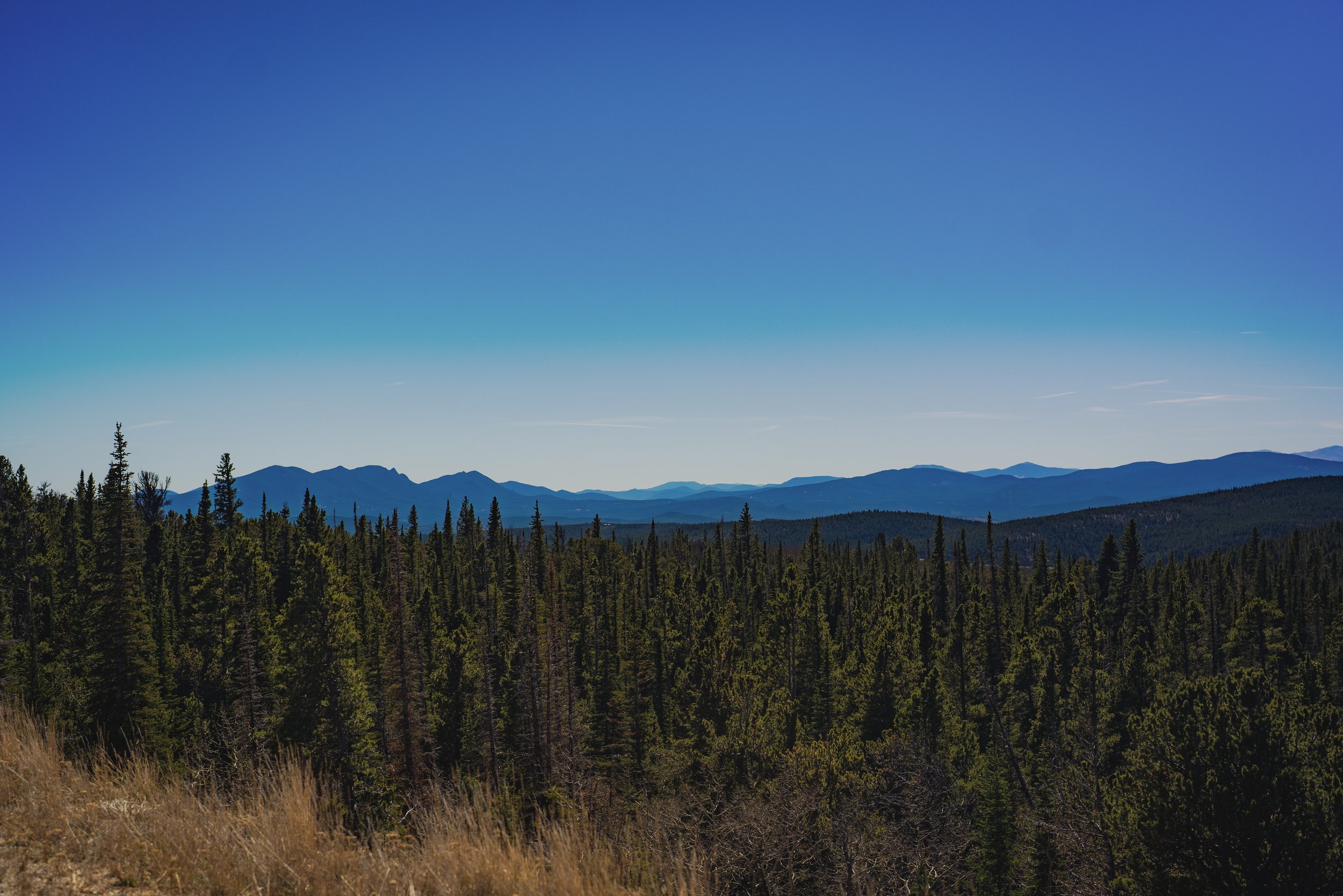 DSC02474.jpg