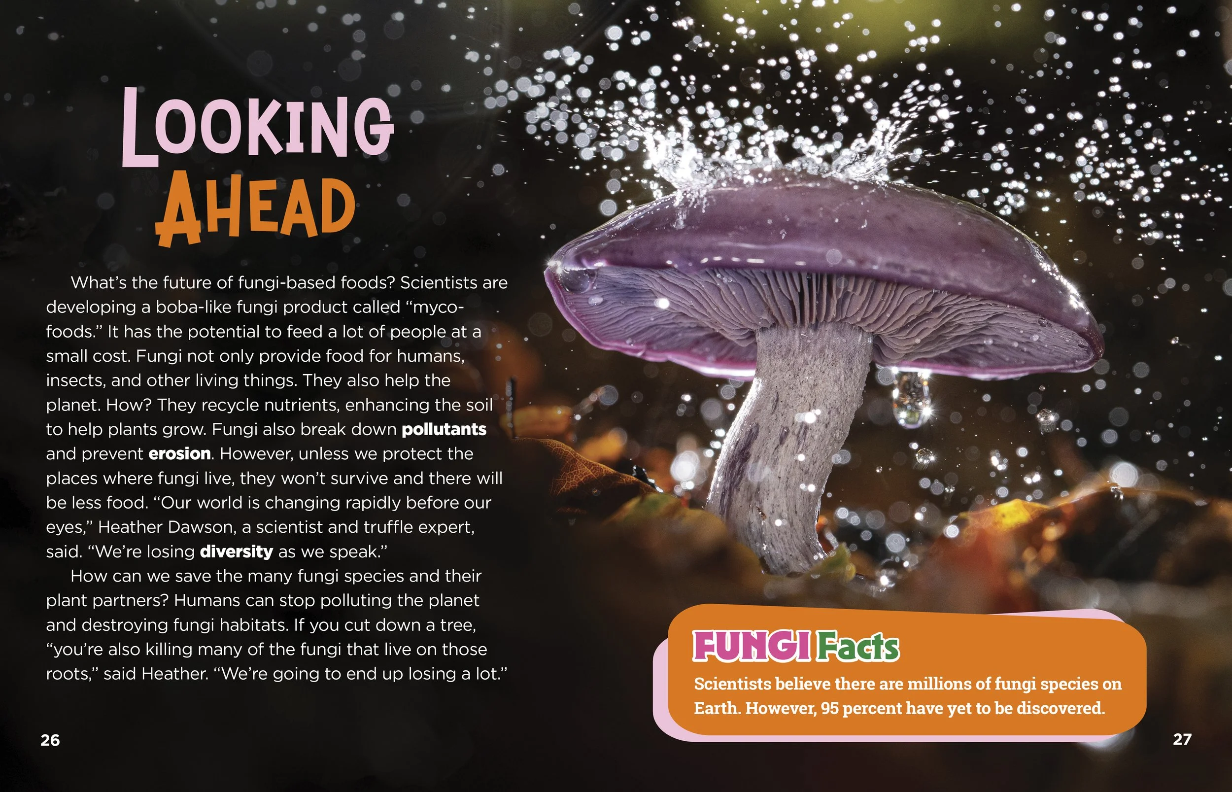 Mushrooms.Food.jpg