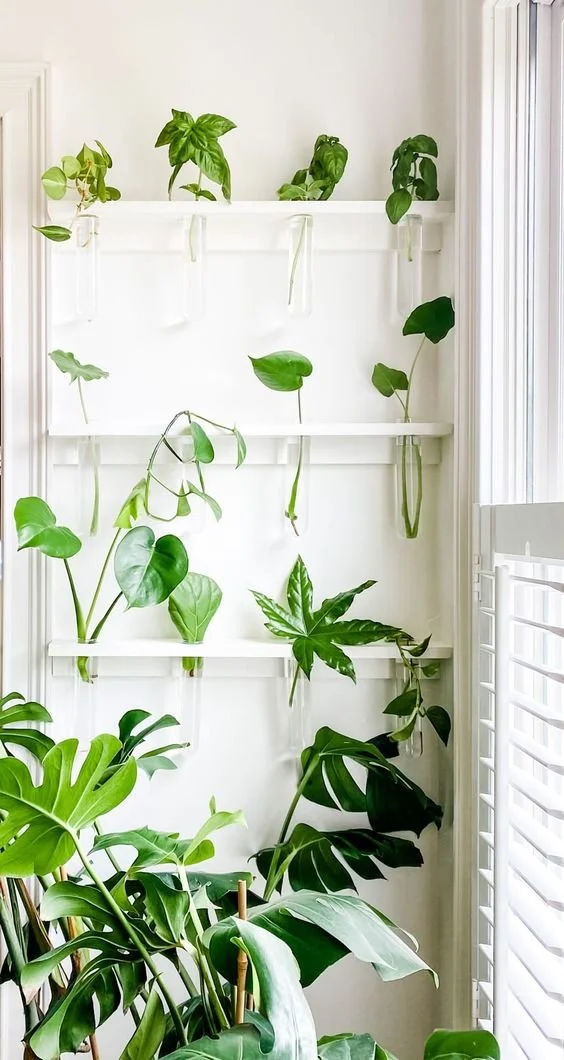 10 ways to incorporate plants into your interior design | Kate ...