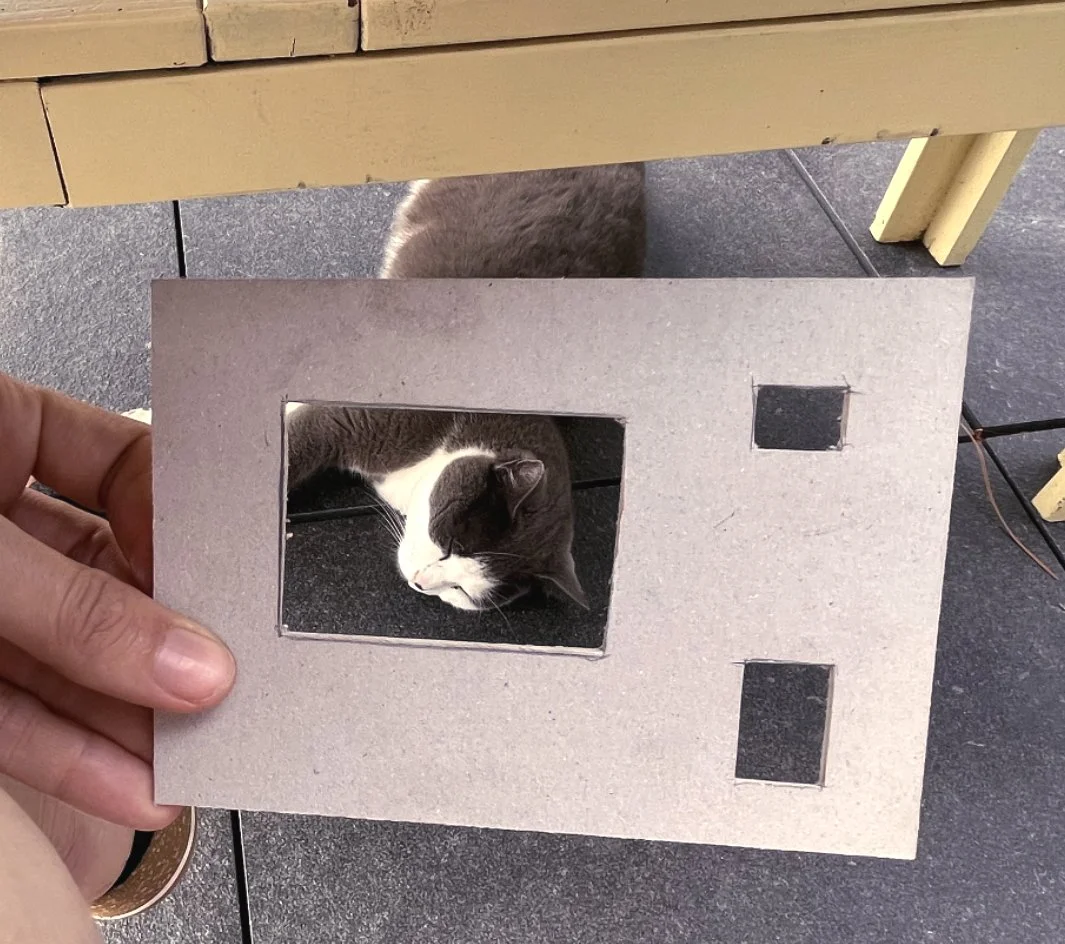 Utilisation d'un cadre en carton pour cadrer un chat, une note d'humour et d'inspiration dans le processus créatif de Mathilde Greuzat.⁠