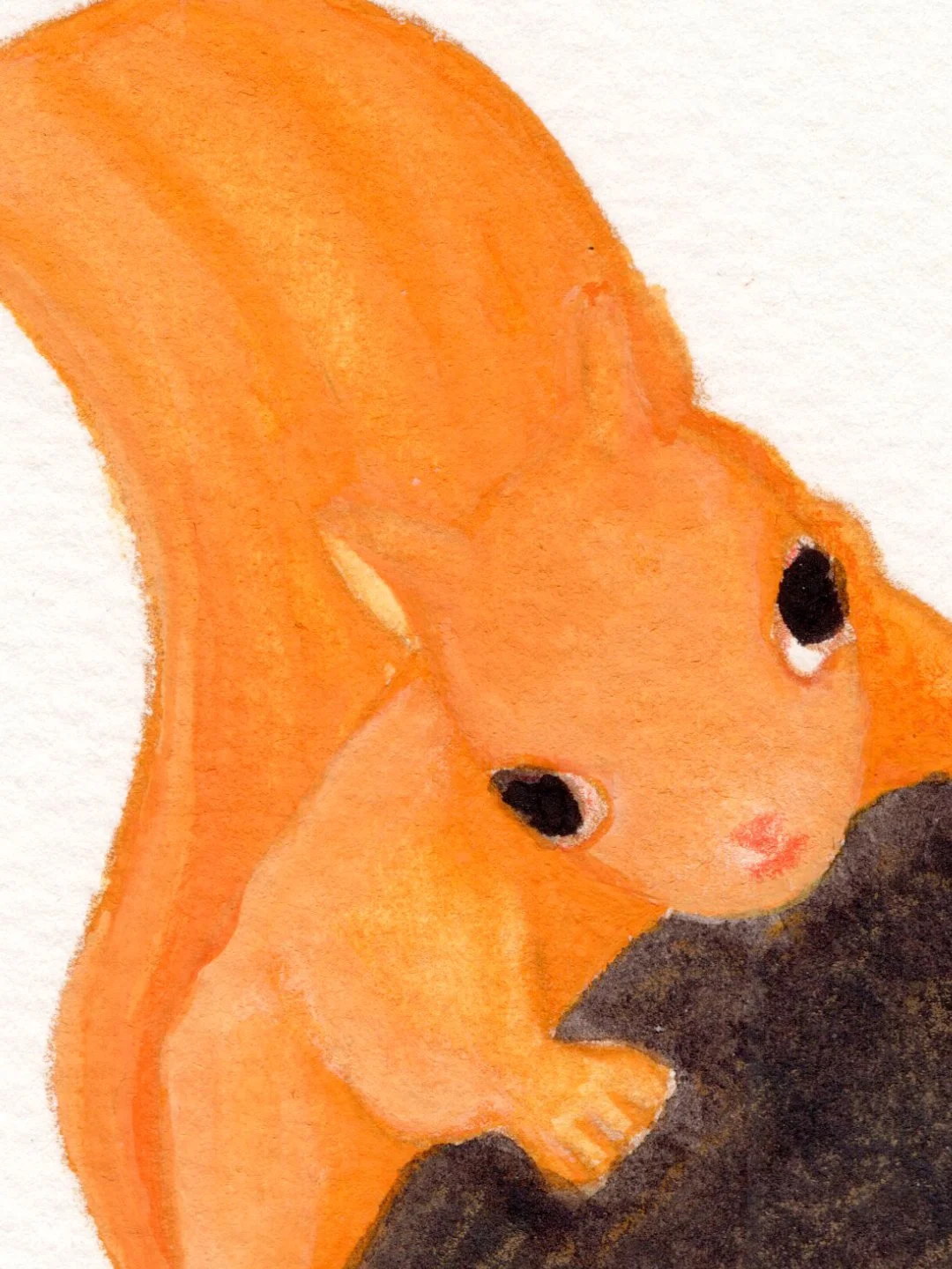 Flirt dans la pinède