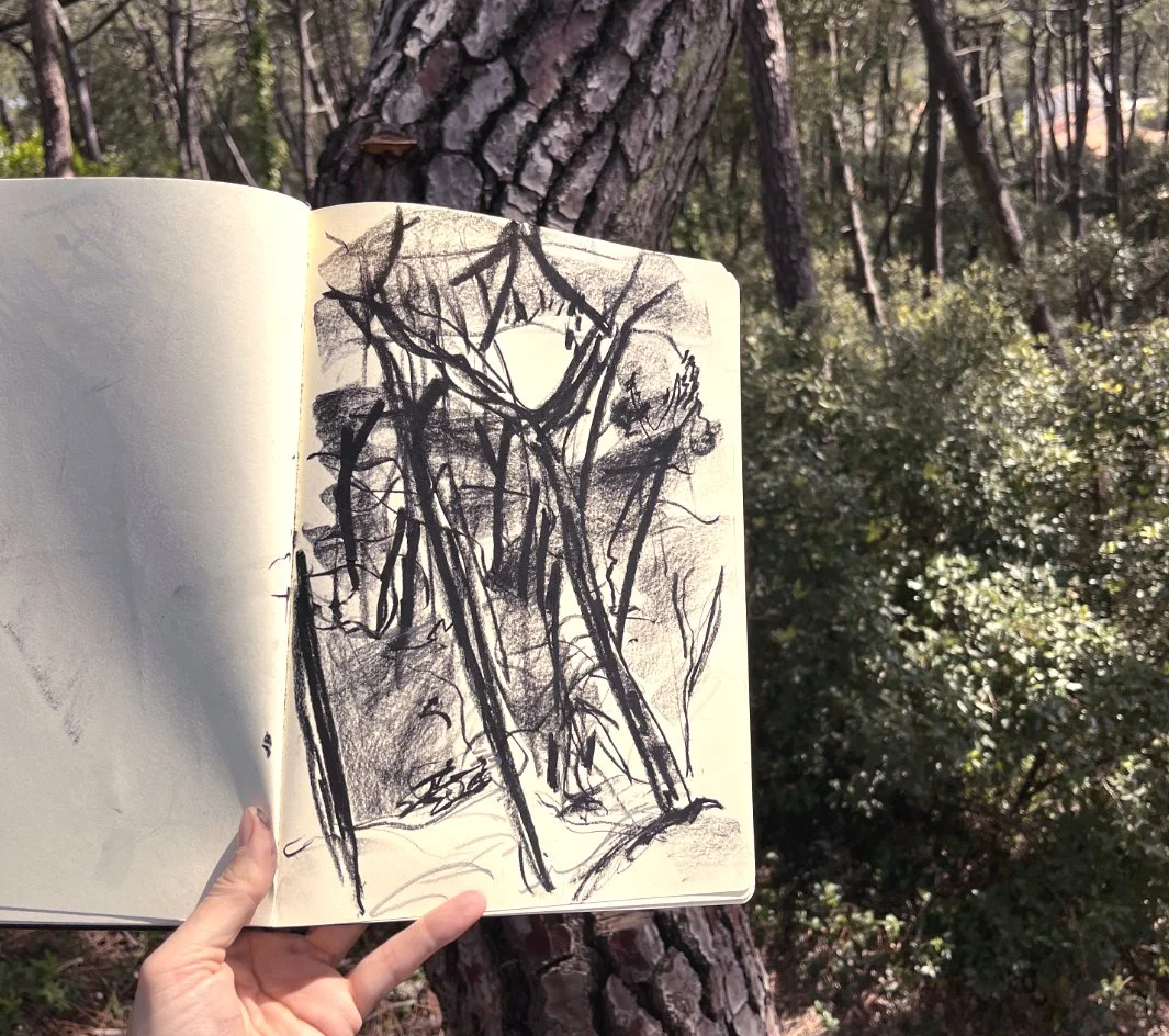⁠Photo de paysage en forêt servant d'inspiration pour un croquis d'ambiance et de décor par l'artiste Mathilde Greuzat.⁠