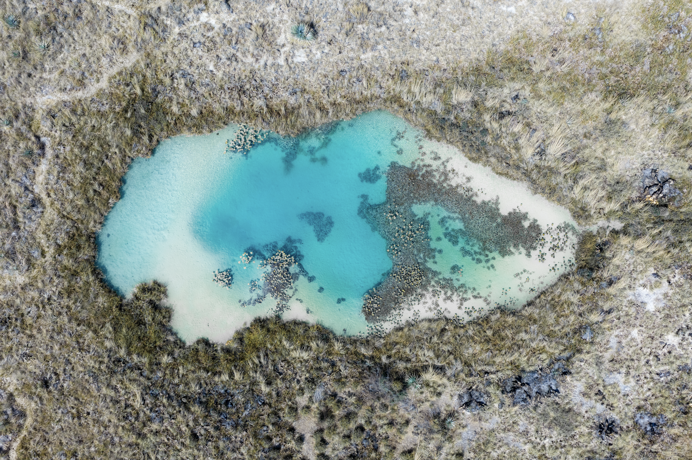 Screenshot 2026-04-19 at 2.59.32 PM.png