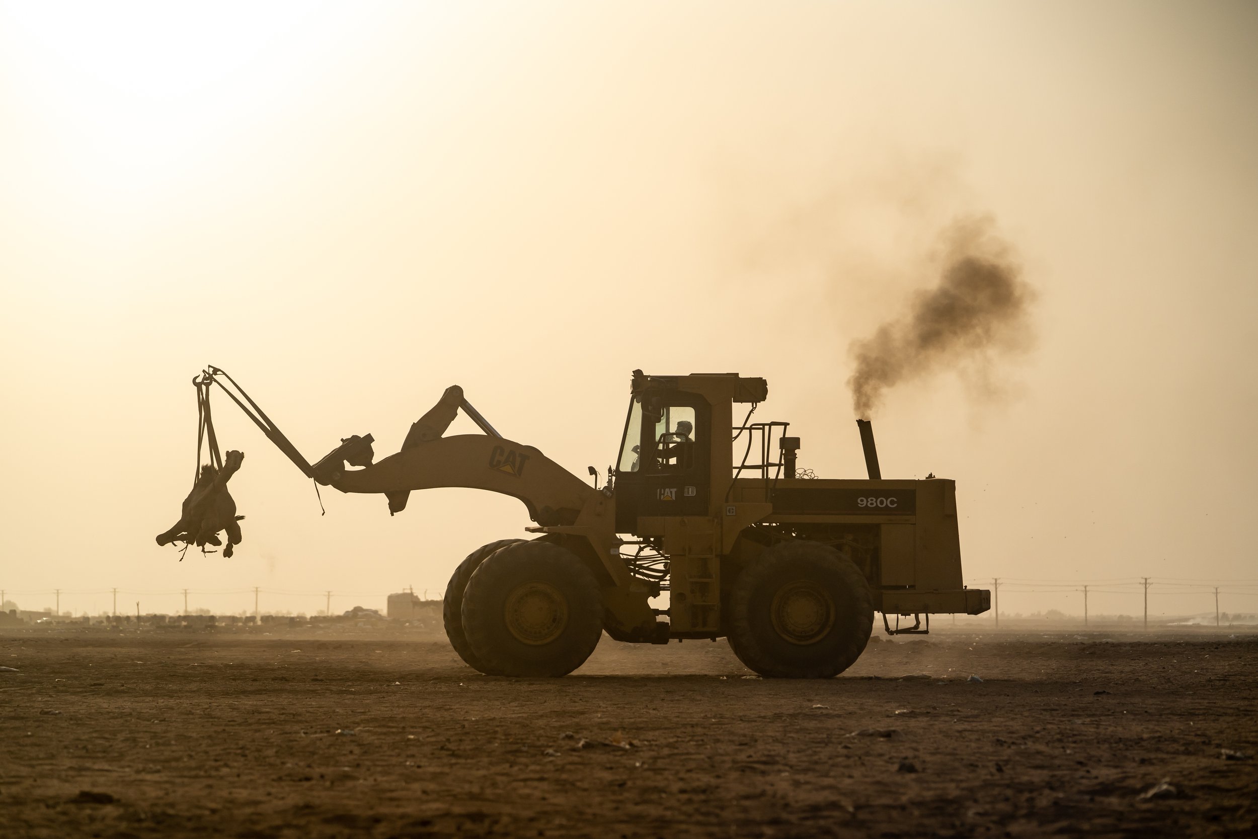 matt-reichel-khartoum-camel-market-sudan-22.jpg