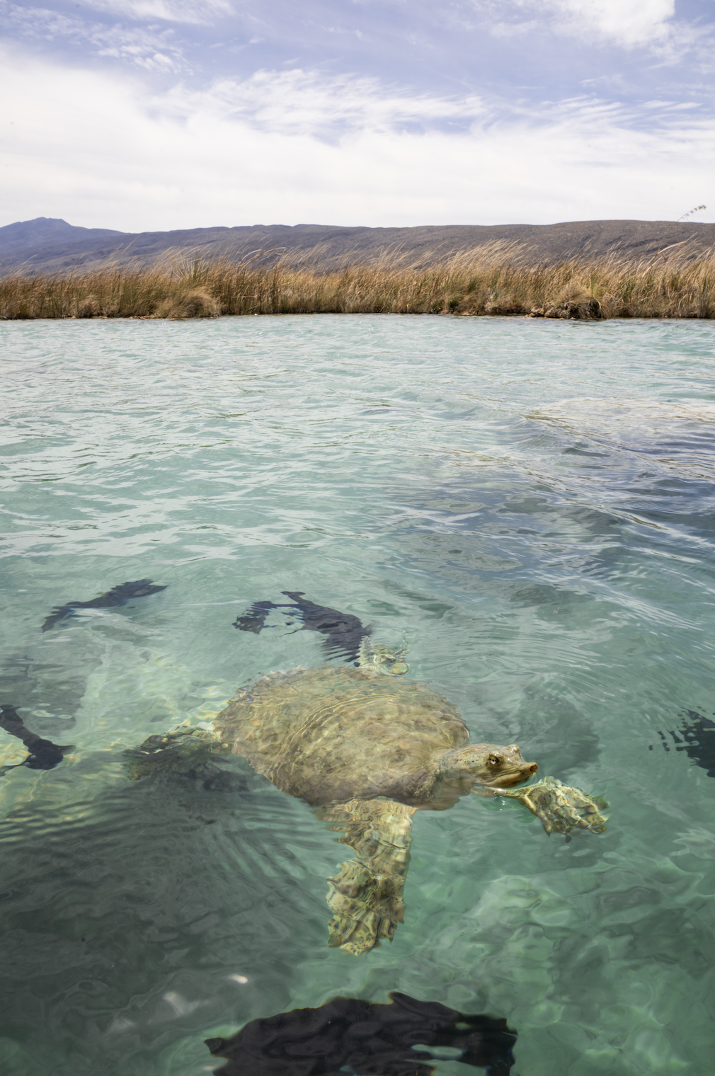 Screenshot 2026-04-19 at 2.58.12 PM.png