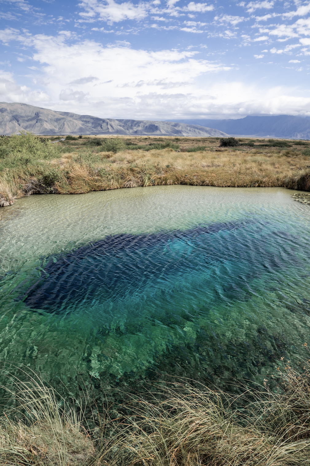 Screenshot 2026-04-19 at 2.59.13 PM.png