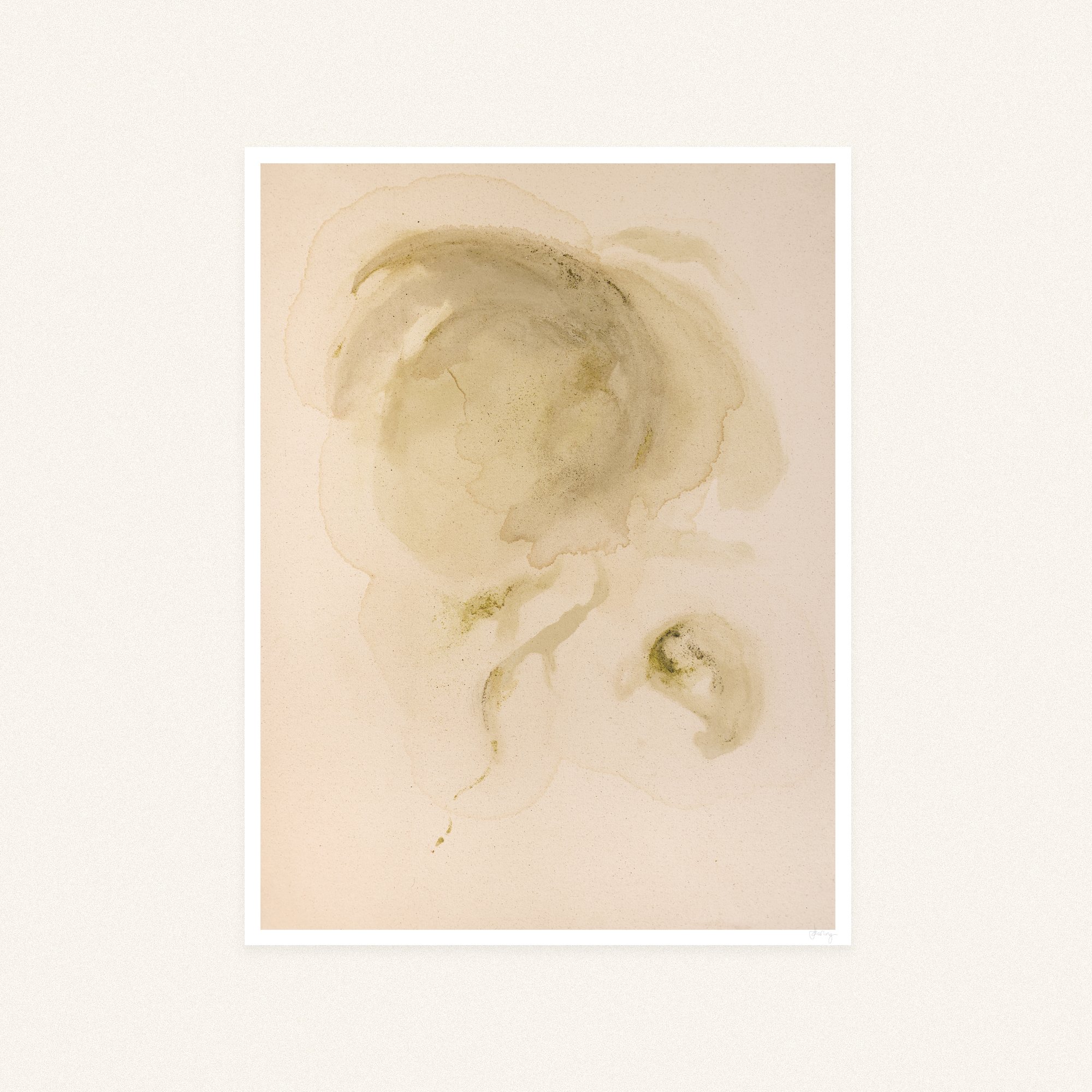 'Bloom 5' - Limited Edition Print
