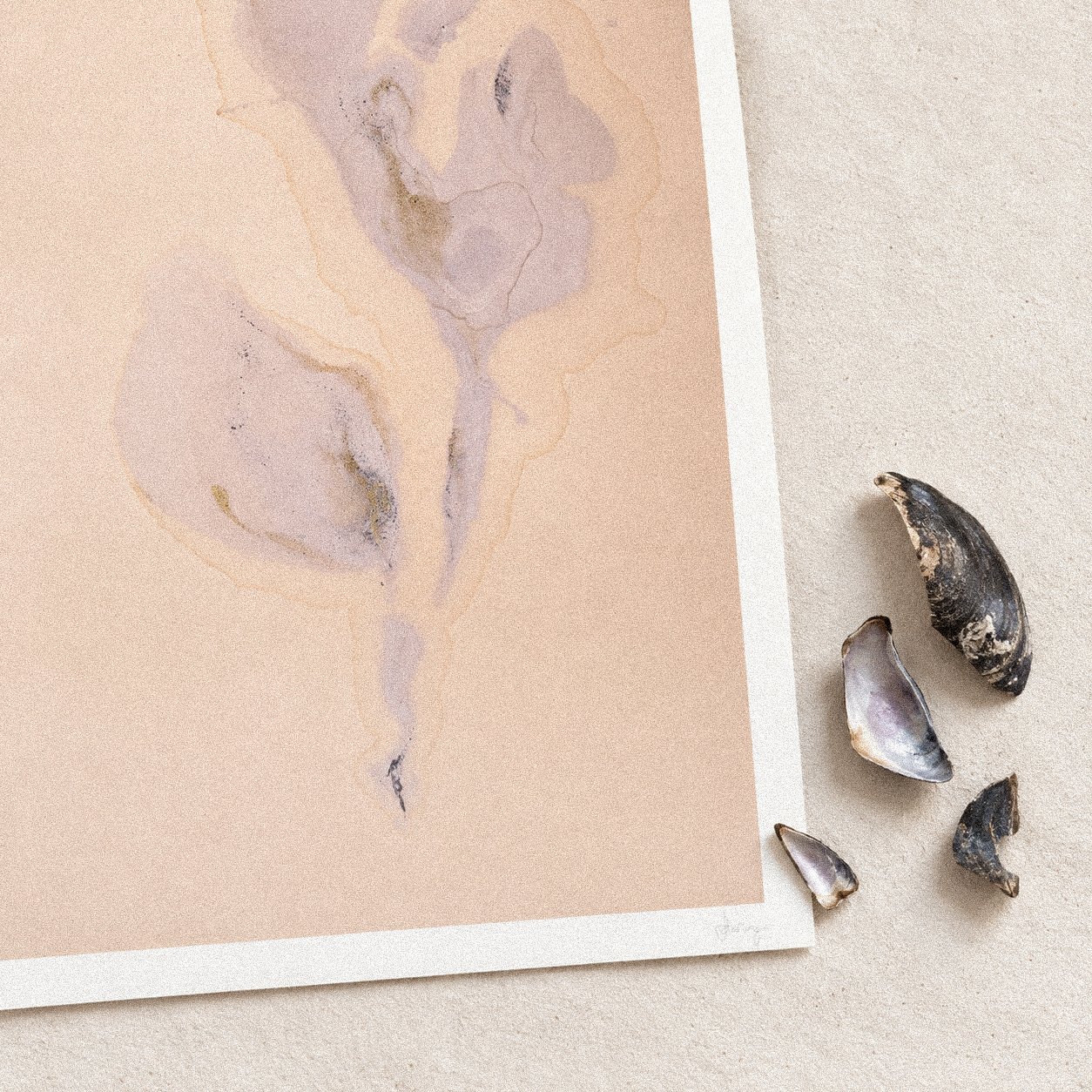 iris with mussell shells-2.jpg